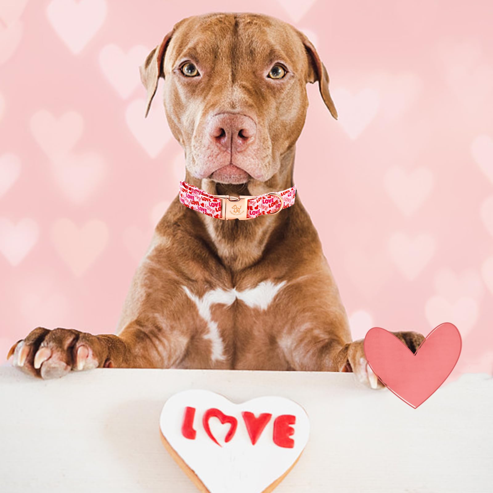Elegant Little Tail Valentine's Day Collar - Pink Heart Cute Dog Collar, Adjustable for Medium Dogs