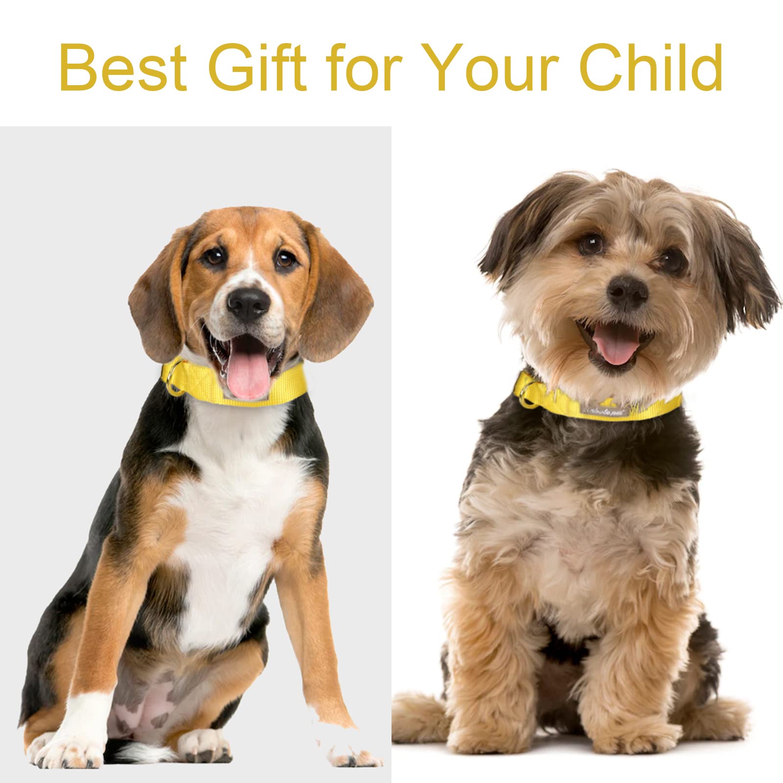 Babole Pet Nylon Dog Collar - Adjustable Yellow Soft Webbing Dog Collars For Small Medium Large Dogs Boy Girl Puppy Collar With