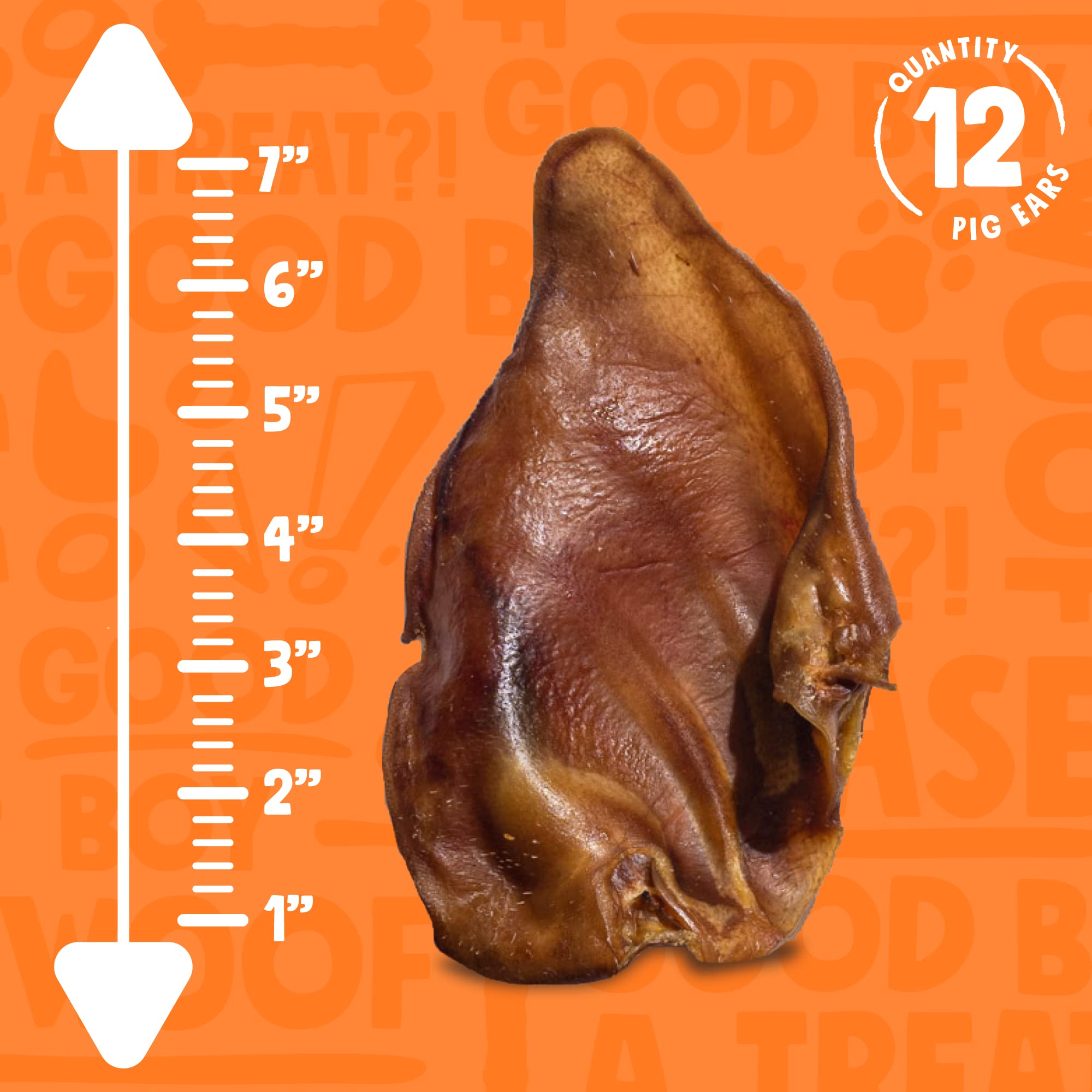 Jolly Barks 6 Inch Whole Pig Ears for Dogs | All Natural Dog Treats Pig Ears Dog Treats | Single Ingredient Dog Chews Dog Treats