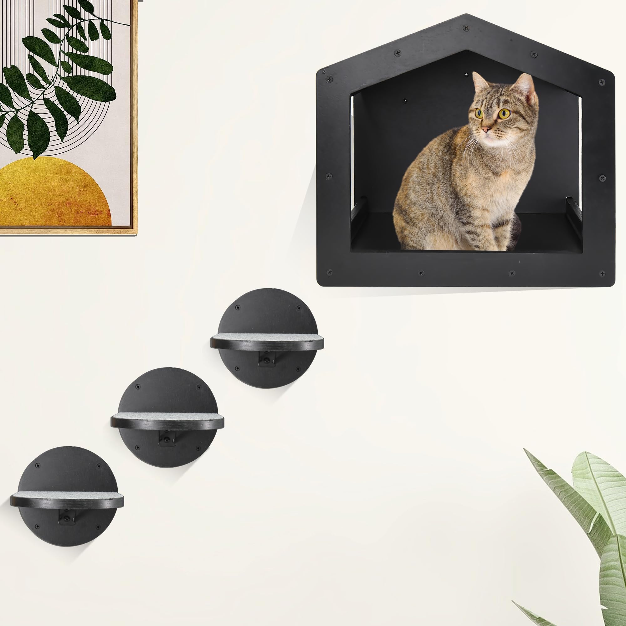 Cat Wall Shelves, Cat Shelves And Perches For Wall, Cat House Fit Cat Up To 25Lbs, 1 Cat Condo House And 3 Large Cat Steps With Scratching Pad, Cat Climbing Shelf For Indoor, Cat Wall Furniture