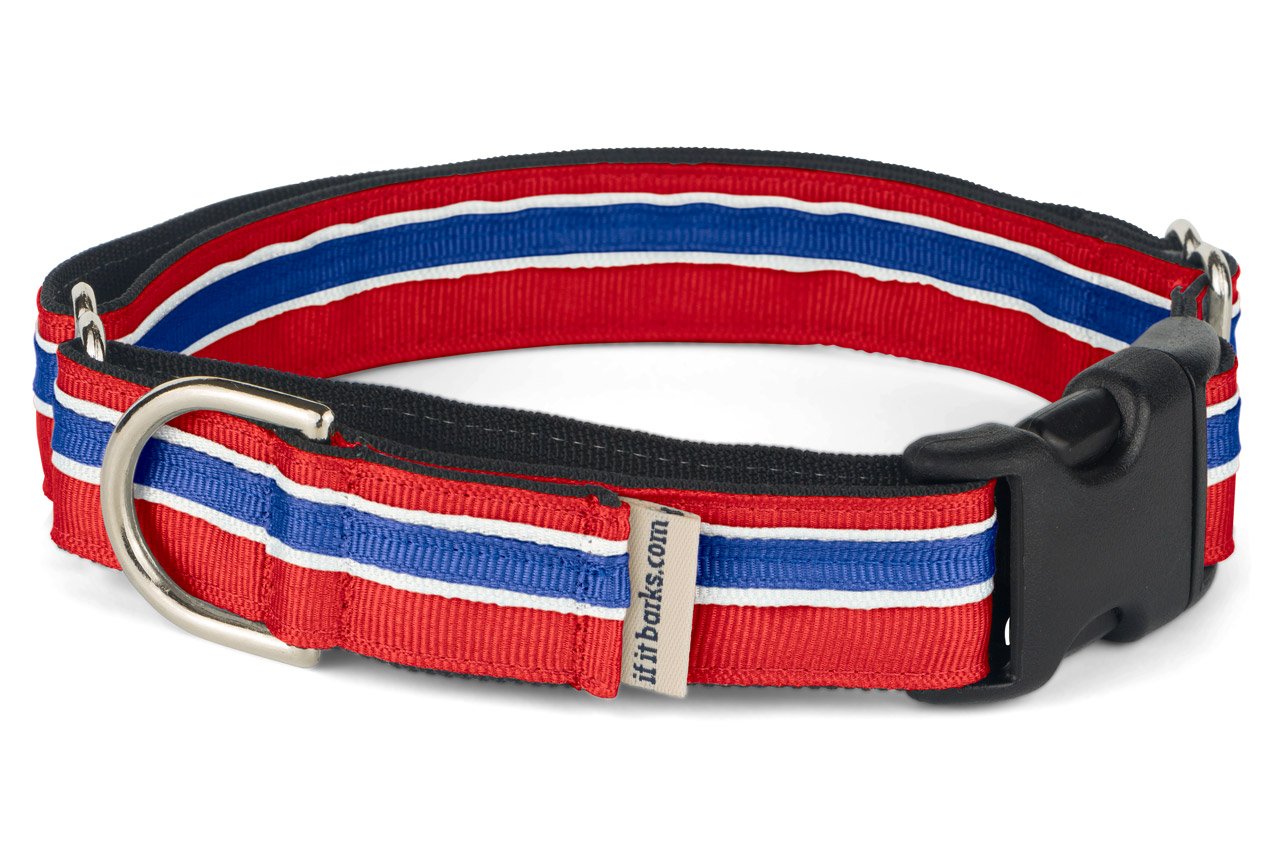 If It Barks 1' Martingale Collar With Quick Snap Release Buckle, Adjustable, Usa Made, Medium, Patriotic