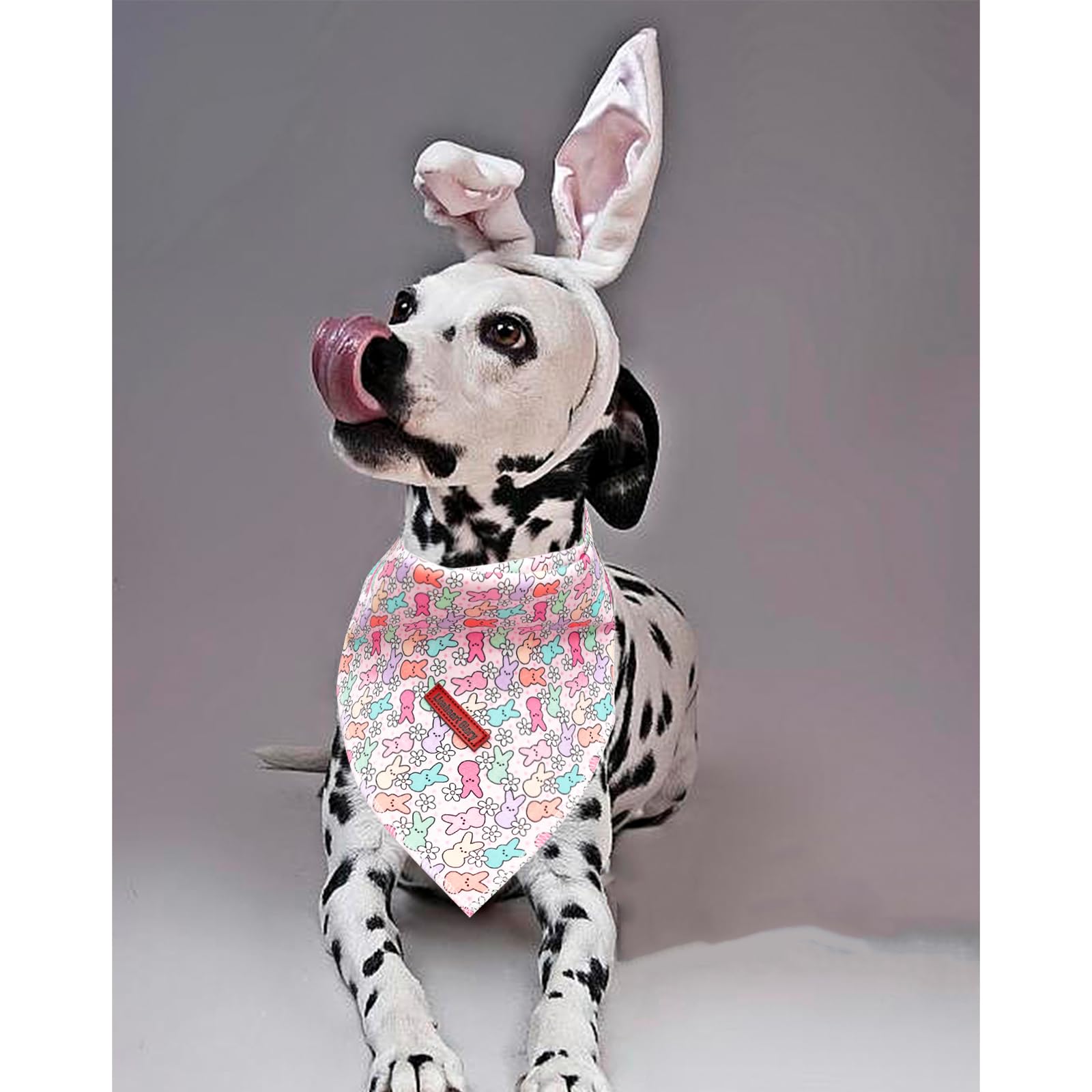 Lionheart Glory Easter Bandana - 1 Pack Washable Soft Dog Scarf, Square Adjustable Bandanas For Medium Large Dogs