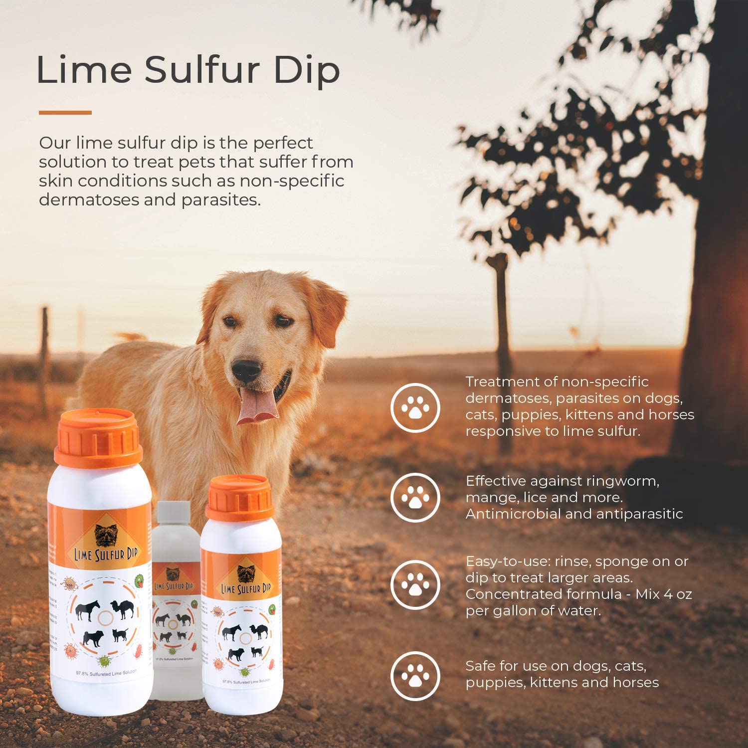 Classic'S Lime Sulfur Dip (8 Oz - Extra Strength Formula - Safe Solution For Dog, Cat, Puppy, Kitten, Horse