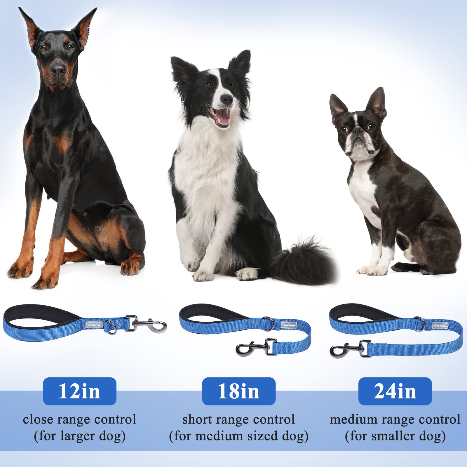 Vivaglory Short Dog Leash For Medium & Large Dogs, 24Inch, Blue