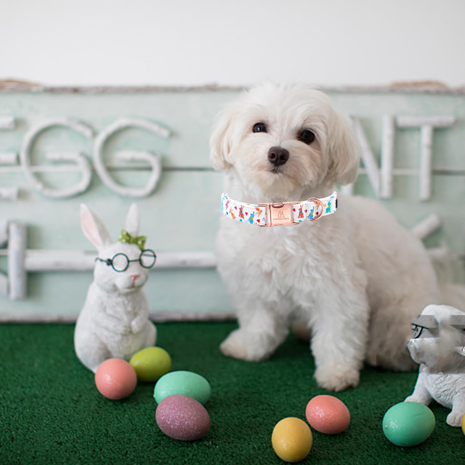 Lionheart Glory Easter Collar Rabbit Print Dog Collar For Large Cute Dog Collars Spring Female Or Male Pet Gift Adjustable Heavy
