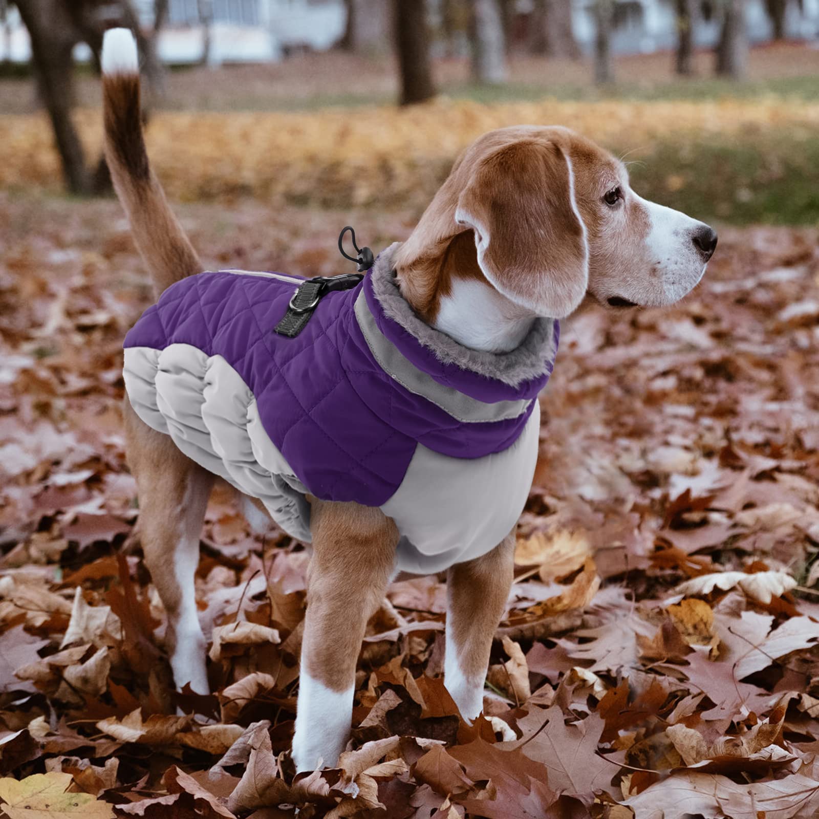 LeLePet Warm Dog Winter Coat, Windproof Reflective Vest, Thick Fleece Lining, Large, Purple