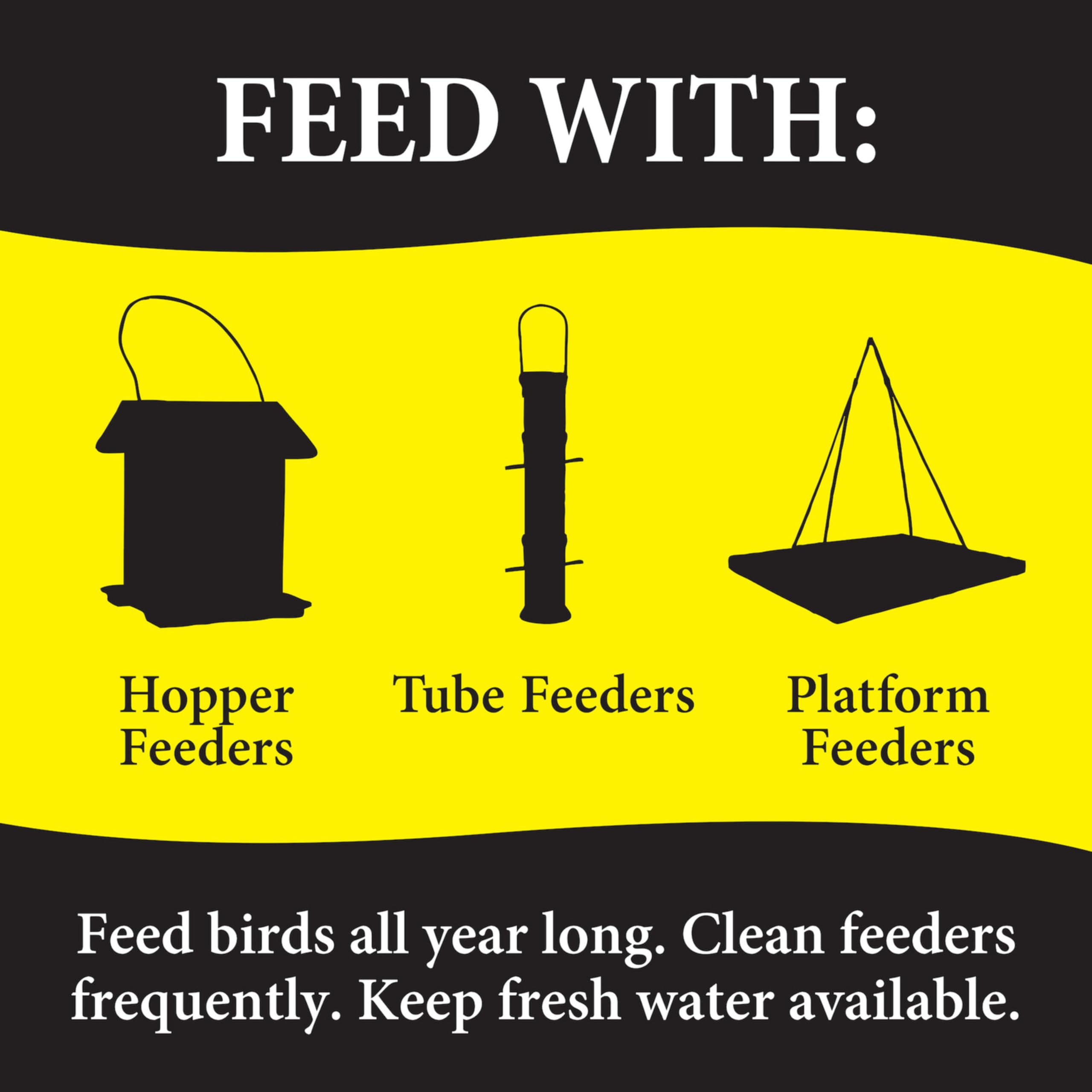 Wild Delight 099127 Bugs N Berries Wild Bird Food, 4.5 lb