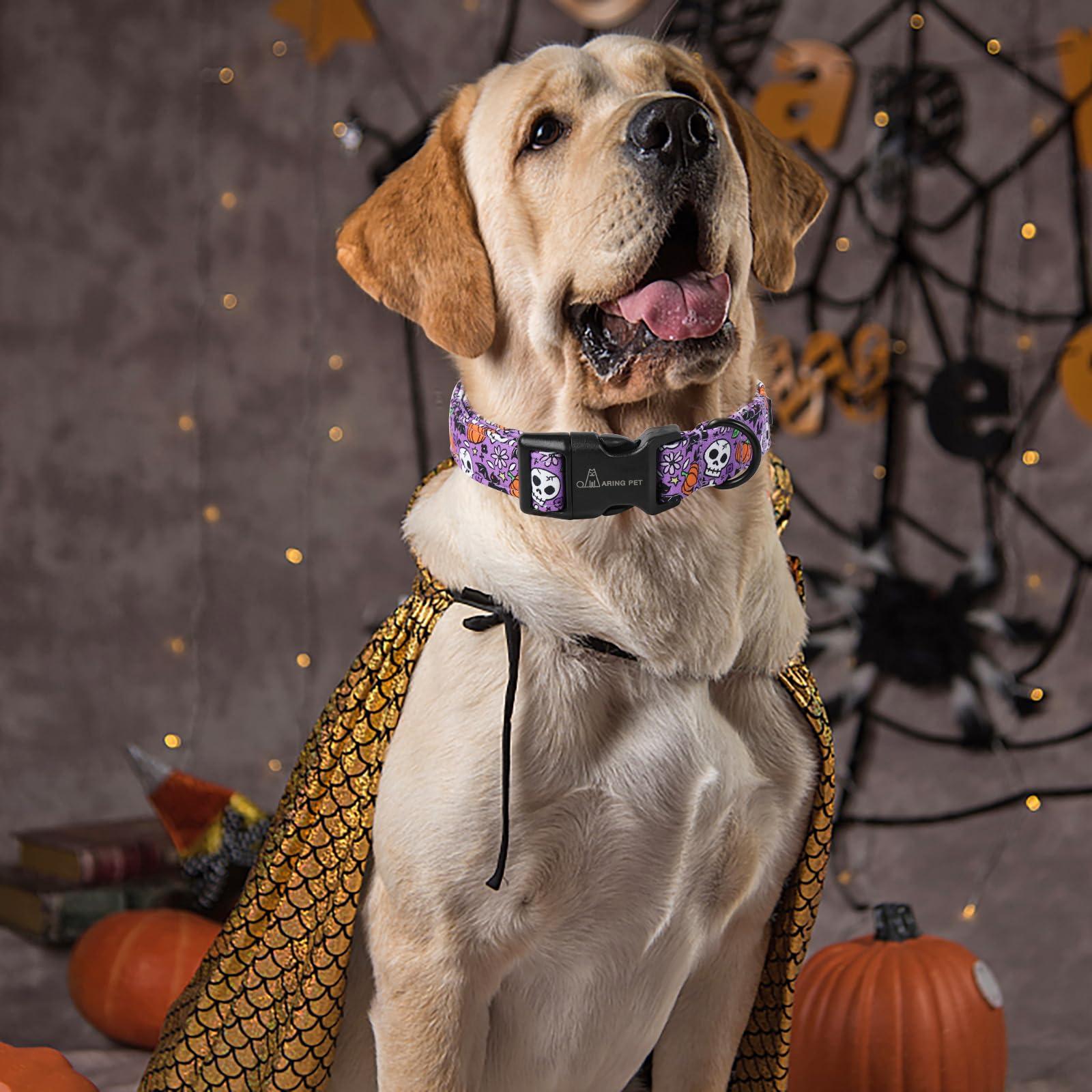Aring Pet Halloween Dog Collar-Cotton Purple Pumpkin Dog Collars, Adjustable Skull Bat Print Pet Collar Puppy Collars With Quick