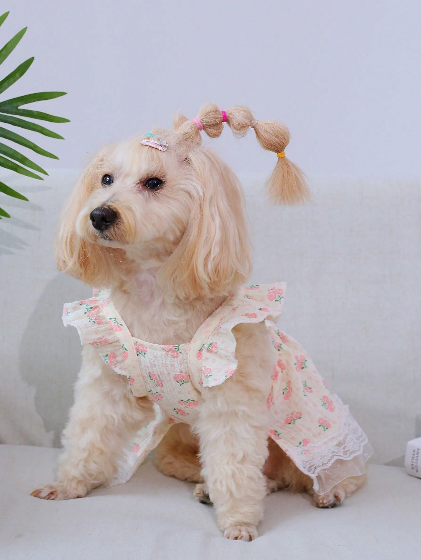 Qwinee Pink A Floral Dress (X-Large) For Small Medium Cats Dogs, Soft Fabric, Lightweight, Breathable, Ruffle Trim, Lace, Prince