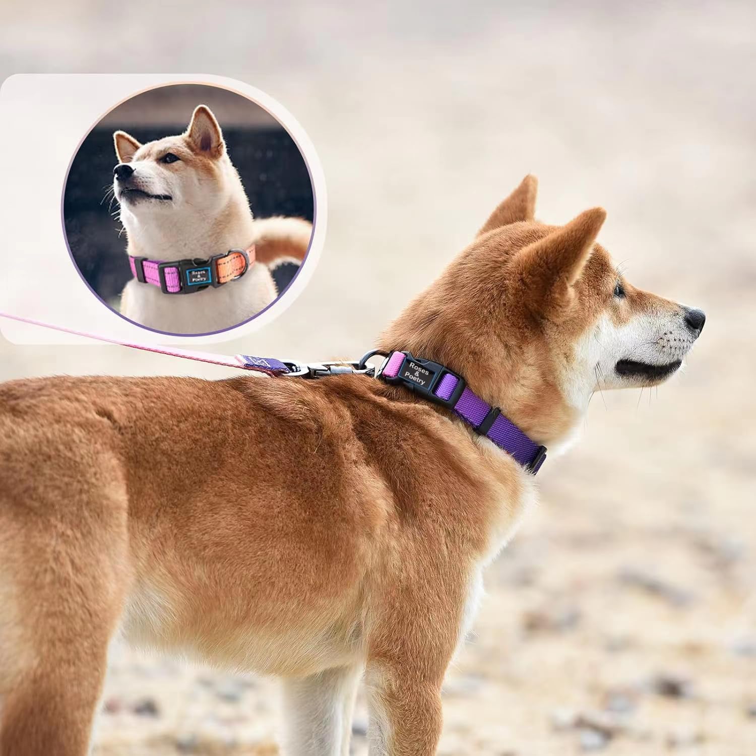 Roses&Poetry Reflective Small Dog Collar and Leash Set, Puppy Personalized Boy and Girl Collar with Leash, Adjustable Nylon Dura