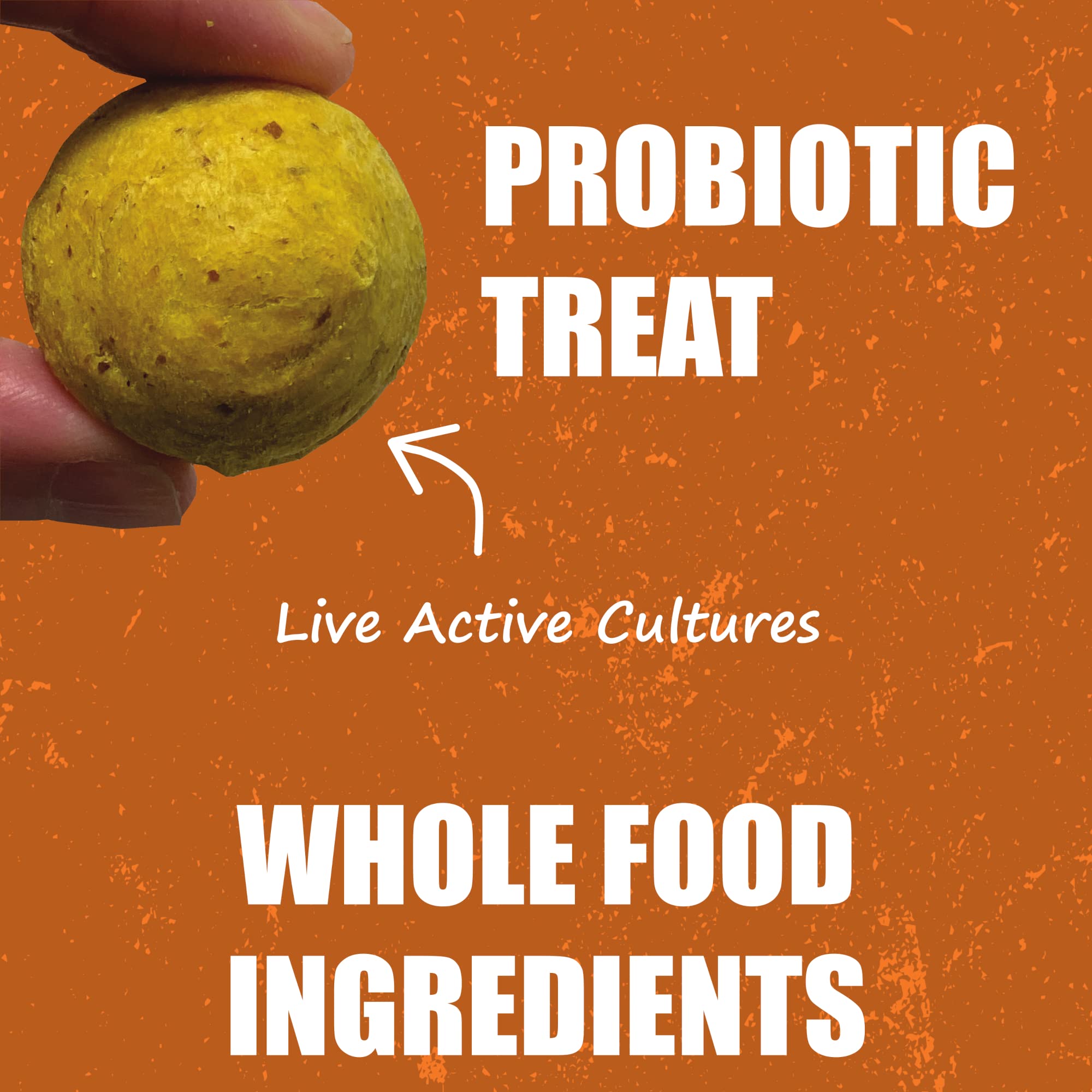 Whole Life Dog Living Treats for Dogs - Human Grade Probiotics for Digestive & Gut Health, Canine Gas, Diarrhea, Vomit & Constip