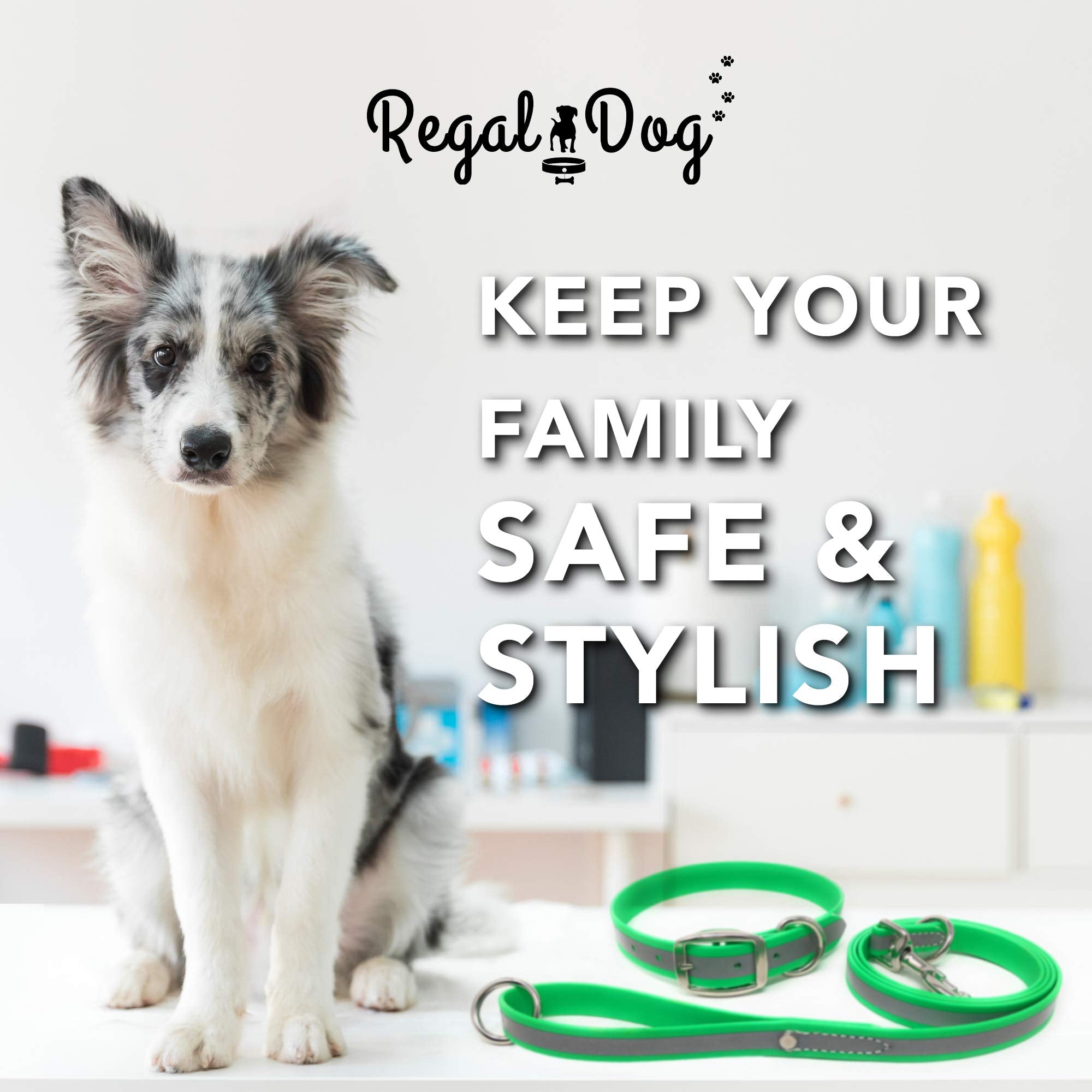 Regal Dog Products Large Lime Green Reflective Dog Collar And Leash Set - Waterproof Biothane Dog Collar With Heavy Duty Double