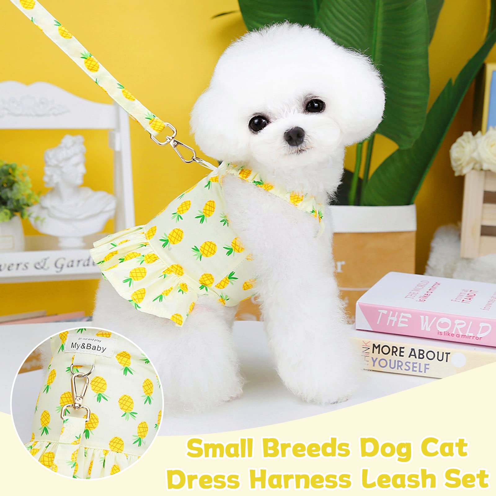Petpubgnzs Small Dog & Cat Harness & Leash Set - Cute Princess Dresses For Girls & Boys In Pineapple, S Size