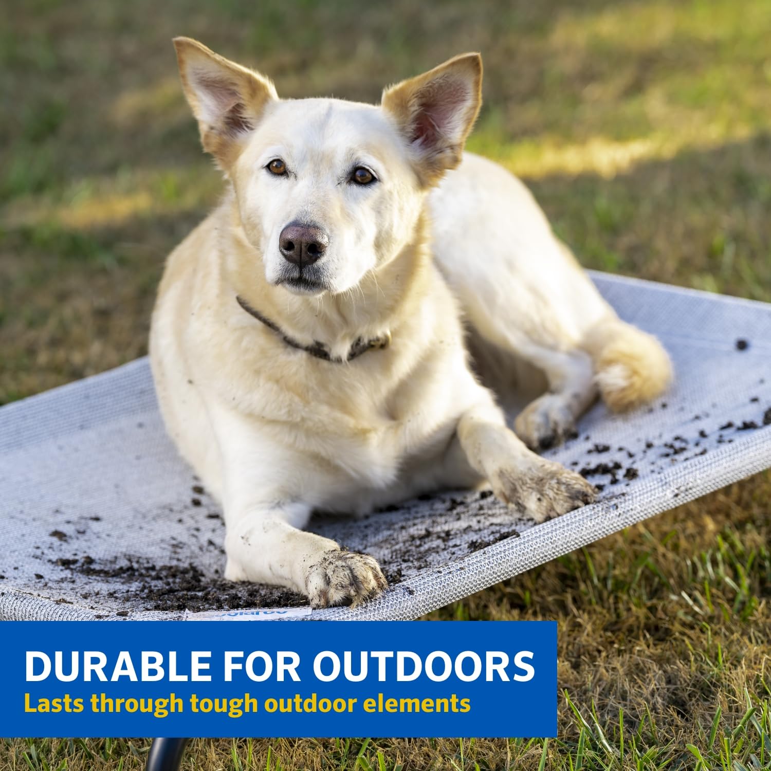 Coolaroo The Original Cooling Elevated Pet Bed, Medium, Brunswick Green