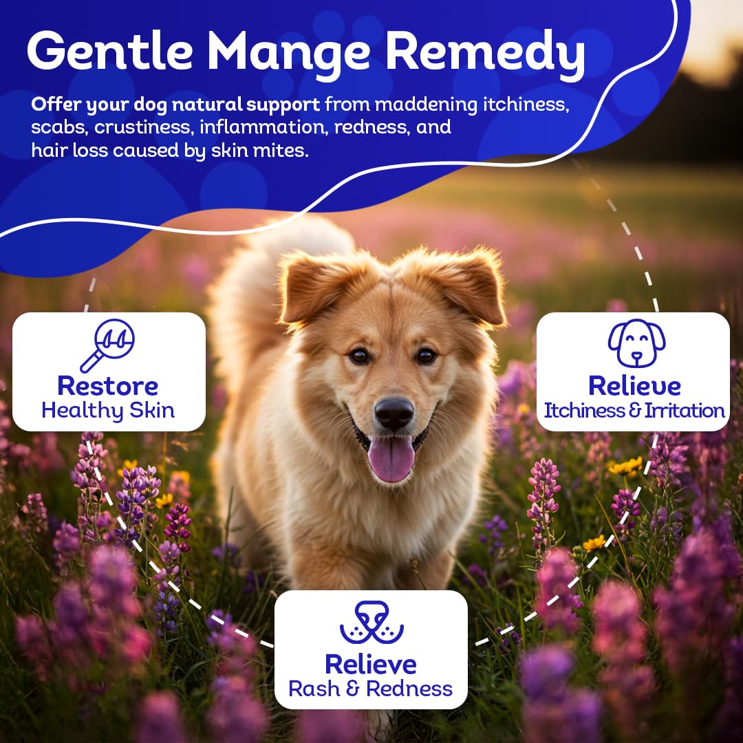 HealthyAnimals4Ever Mange Relief for Dogs - Treatment for Itchiness, Scabs, & Hair Loss Caused by Mites - All-Natural, Homeopath