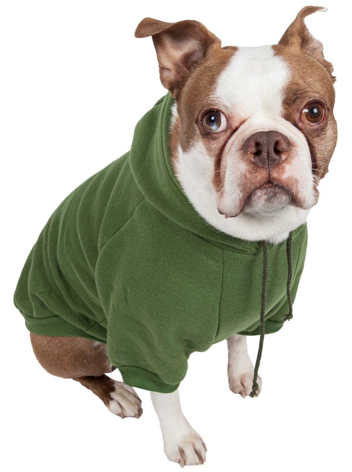Pet Life American Classic Designer Fashion Plush Cotton Pet Dog Hooded Sweater Hoodie, X-Small, Green