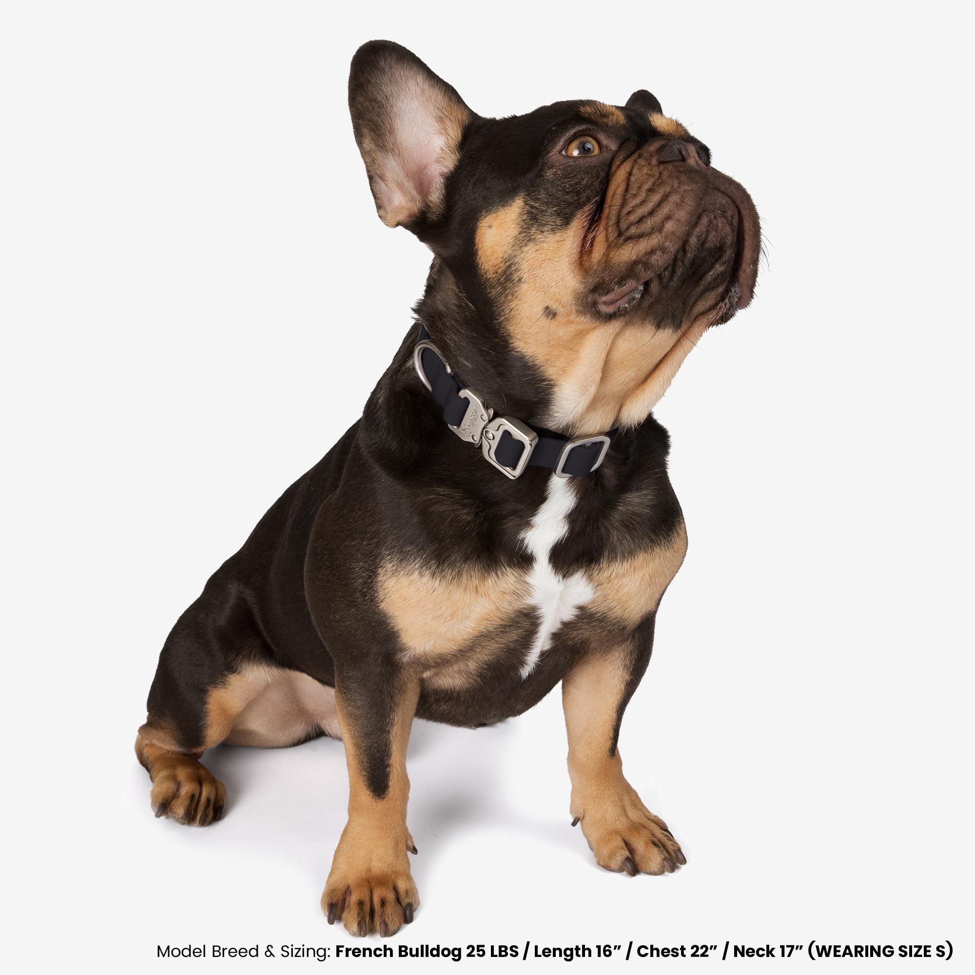 Nandog The Signature Collection Waterproof Poly-Flex Sport Dog Collar In Small, Black - Durable & Adjustable - Secure Double Lat