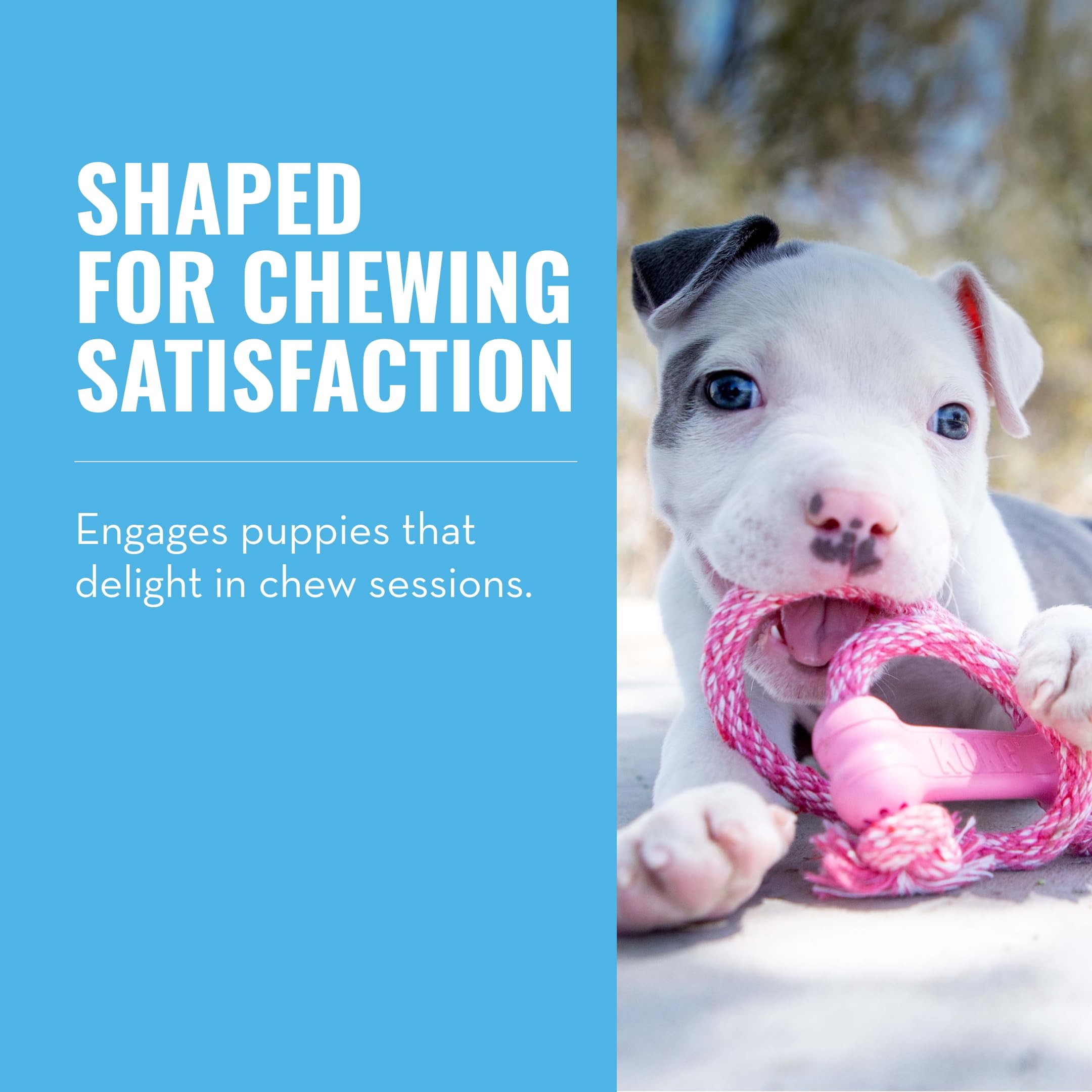 Kong Puppy Goodie Bone With Rope - Natural Rubber Bone With Cotton Rope - Teeth Cleaning Chew Toy For Growing Puppies - For Xs P