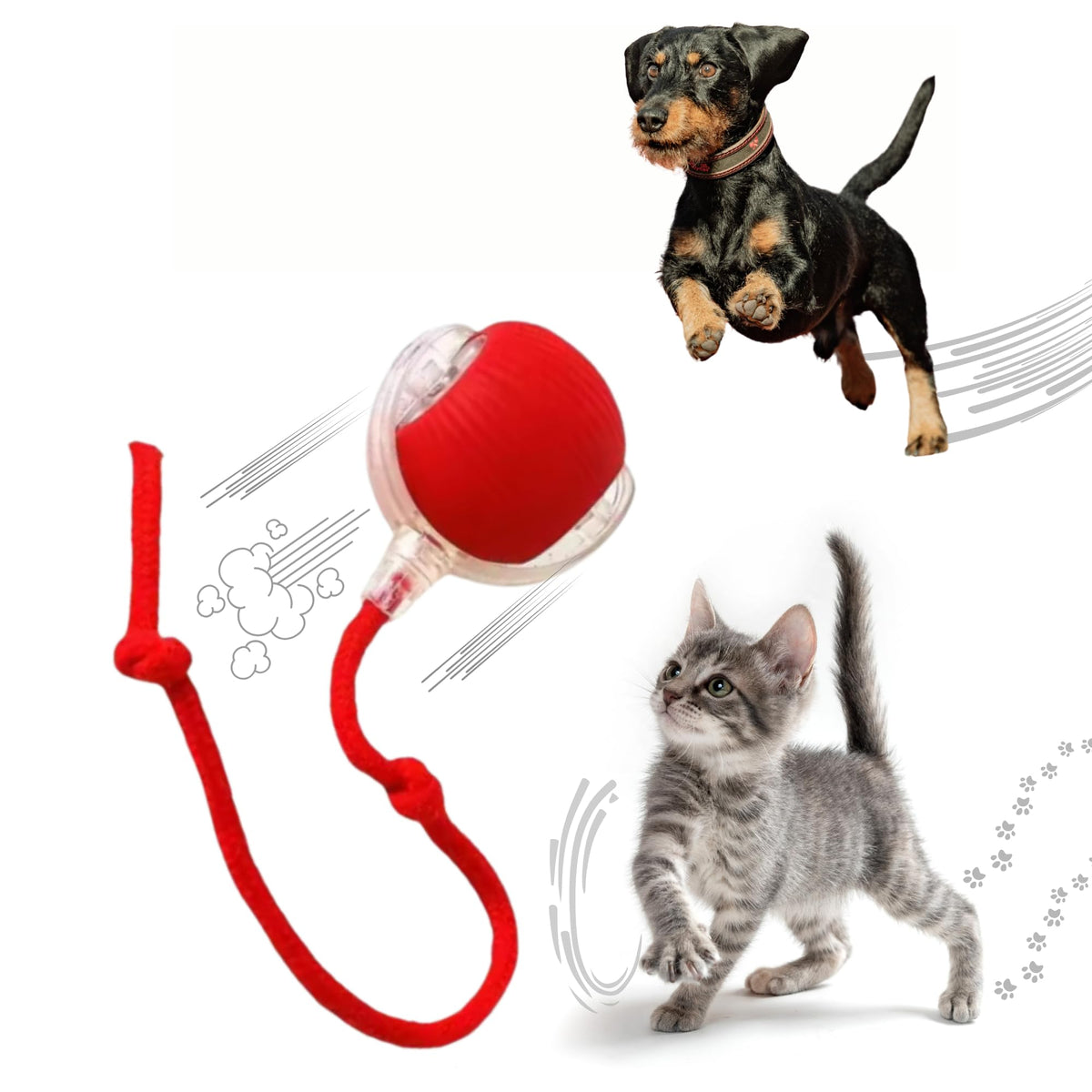 Mardynus Speedy Tail 2.0 Cat Toy, 360Automatic Rolling Ball, Smart Interactive Cat Toy, Smart Jumping Ball For Dogs, Speedy Tail