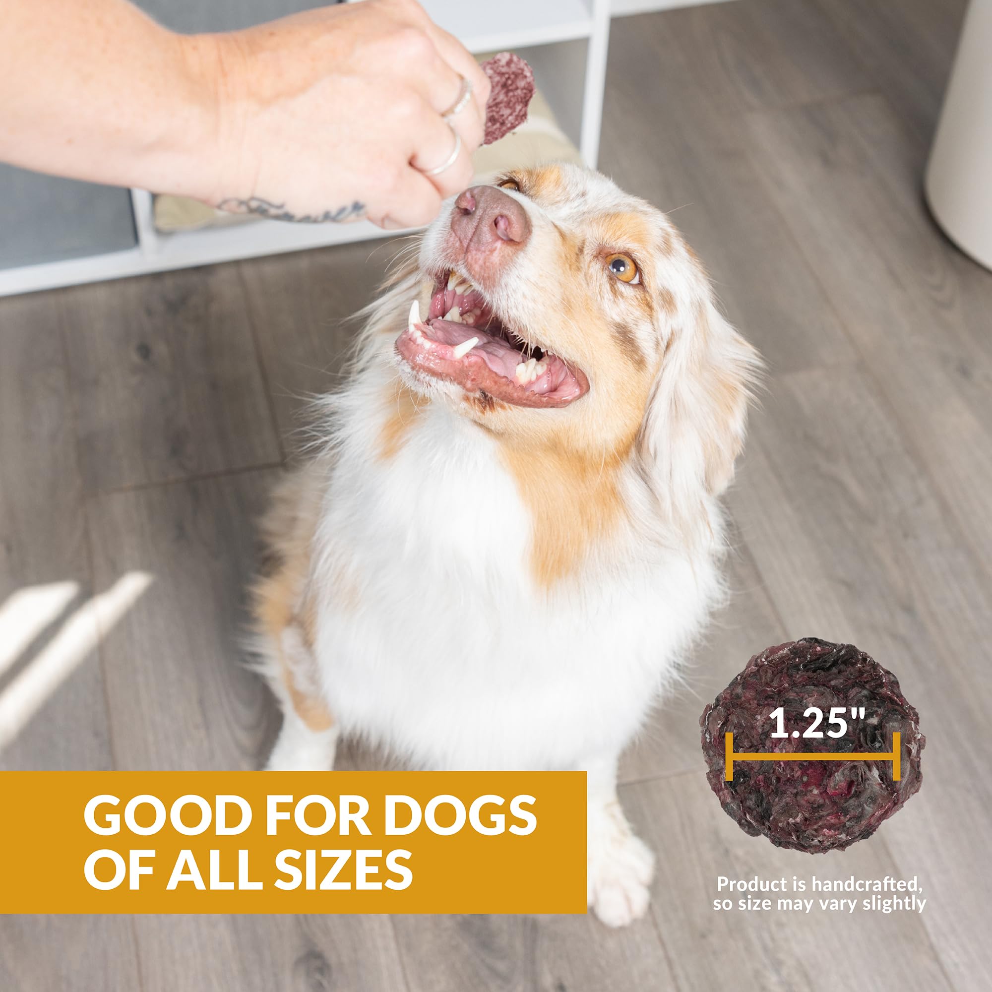 Wild Eats Fish Skin Dog Treats Cod Superfood Medallions 3oz - Strawberry & Cod Limited Ingredient