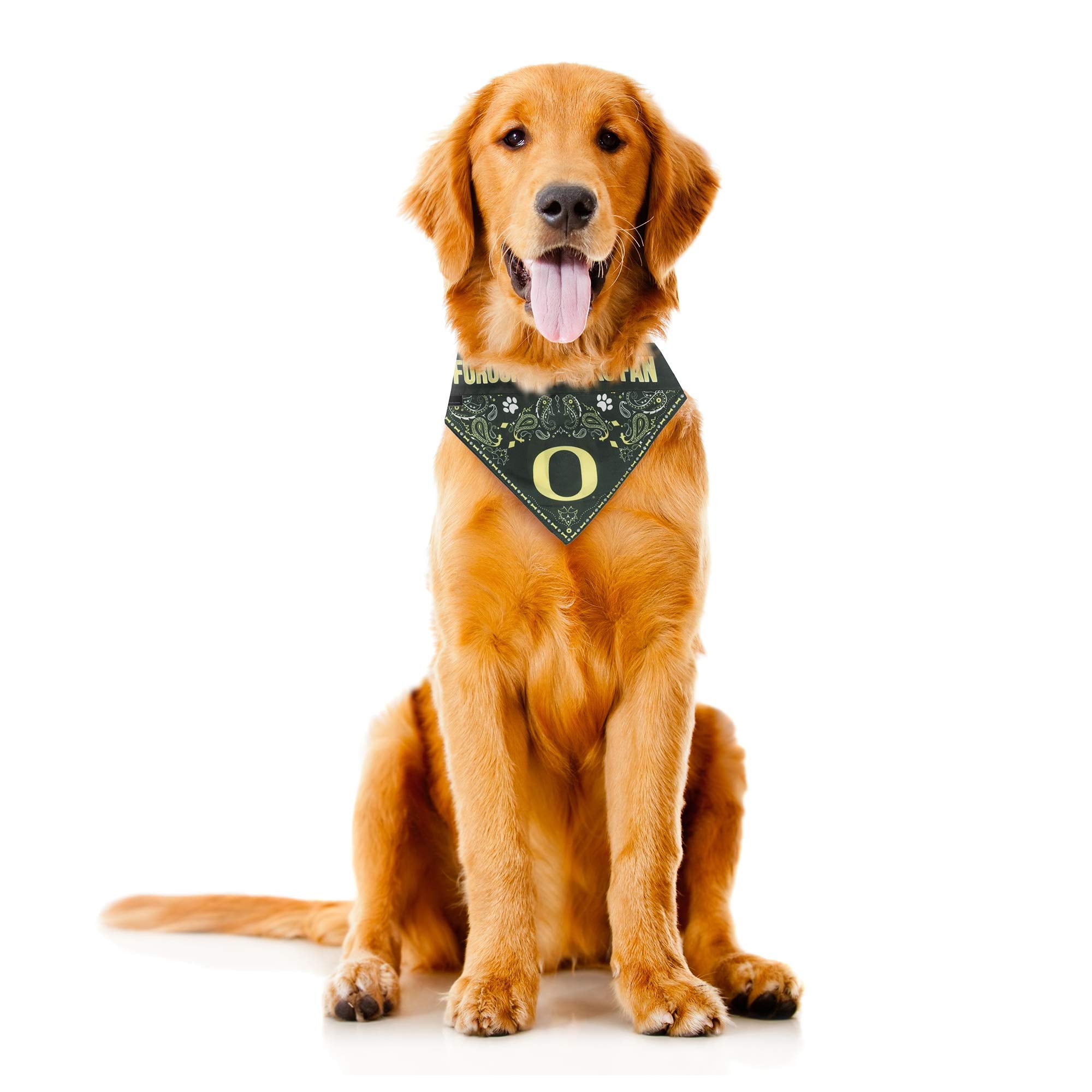 Littlearth Unisex-Adult NCAA Oregon Ducks Pet Bandana, Team Color, X-Small