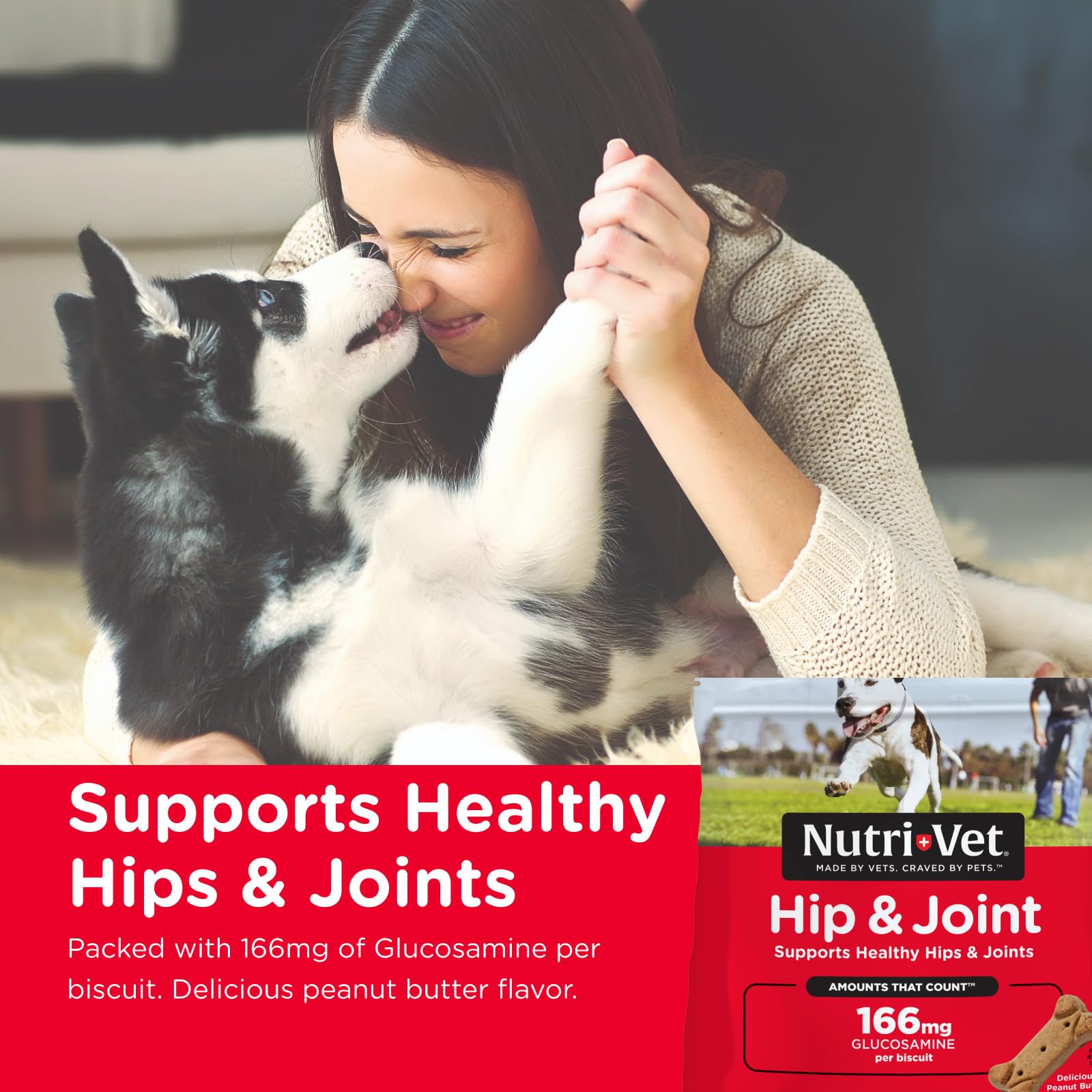 Nutri-Vet Wellness Hip and Joint Level One Small and Medium Dog Treat [Set of 2] Flavor: Peanut Butter