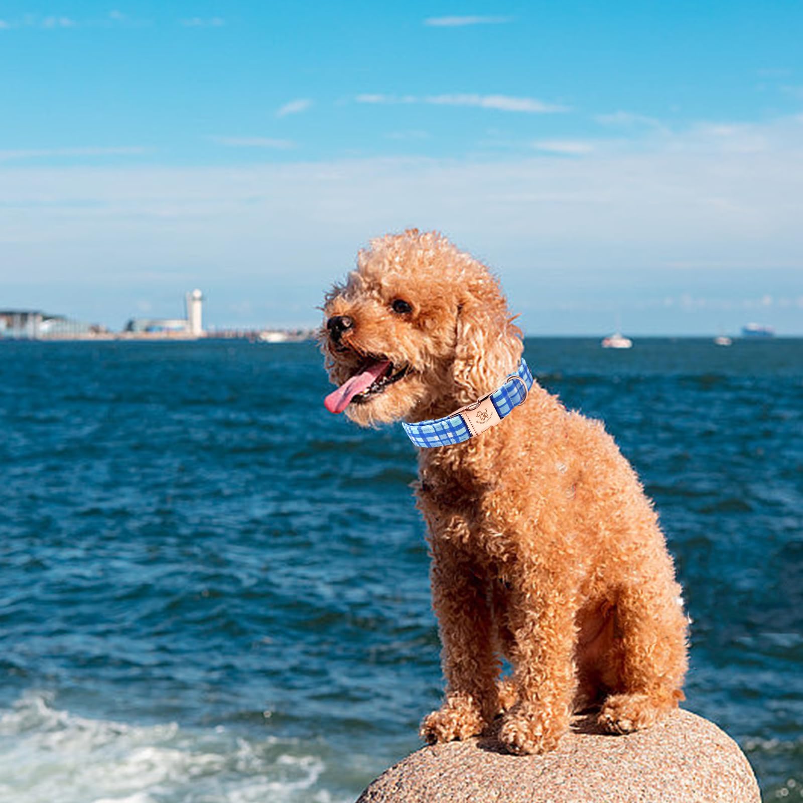 Elegant Little Tail Dog Collar, Blue Plaid Pattern Pet Collar Durable Cute Dog Collars Male Or Female Pet Gift Adjustable Dog Co