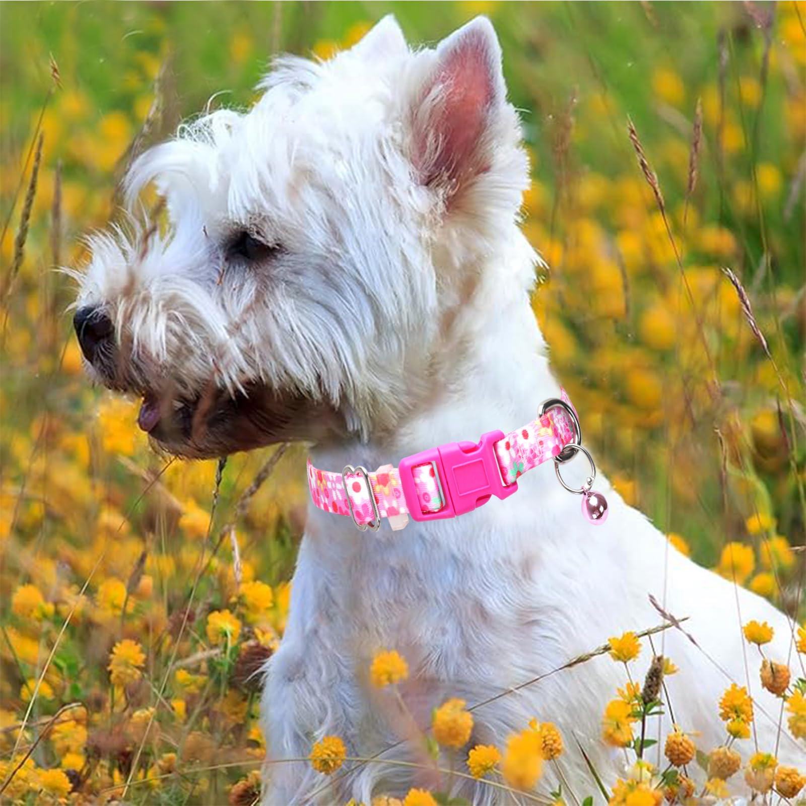 Pink Floral Small Dog Collar With Bell, Pretty Cute Flower Cat Collar Girl Puppy Collars With Bells For Xs Small Tiny Pet Female