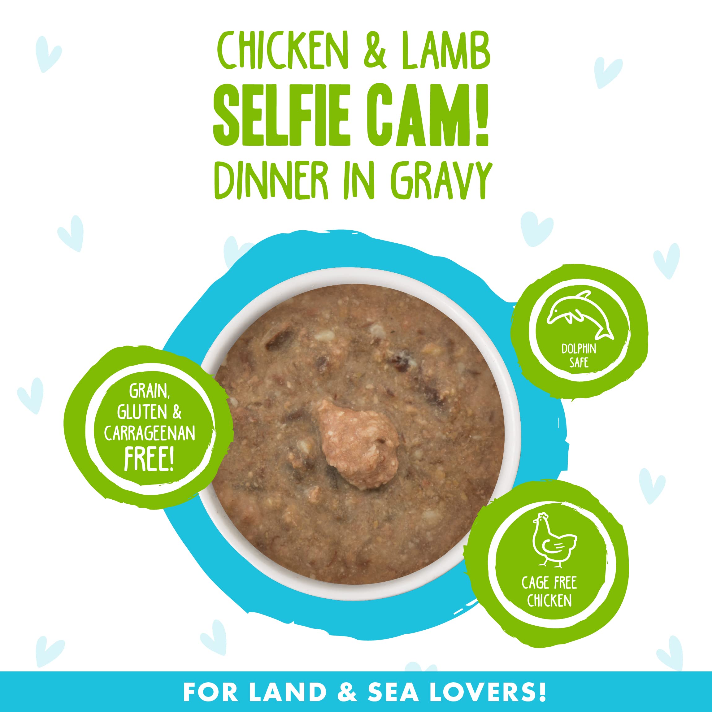 Weruva B.F.F. OMG - Best Feline Friend Oh My Gravy!, Selfie Cam! with Chicken & Lamb in Gravy Cat Food, 2.8oz Can (Pack of 12)