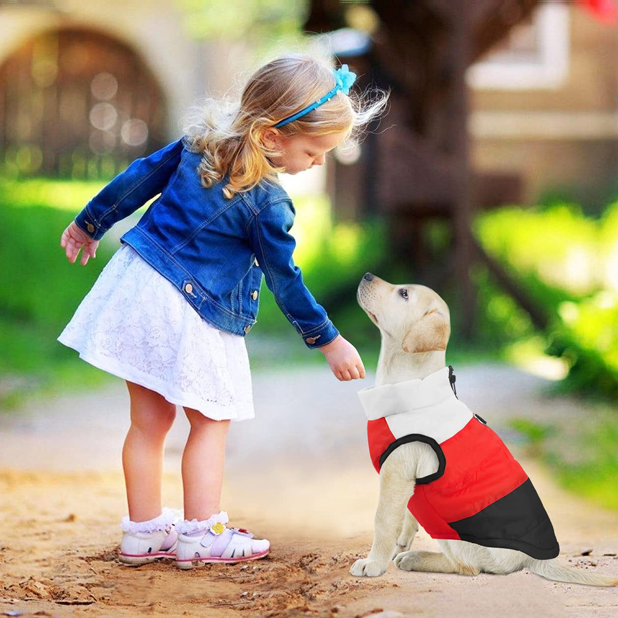 Idepet Pet Dog Cat Coat With Leash Anchor Color Patchwork Padded Puppy Vest Jacket Teddy Chihuahua Costumes Pug Cloth Xs S M L (Large (Pack Of 1), Black)