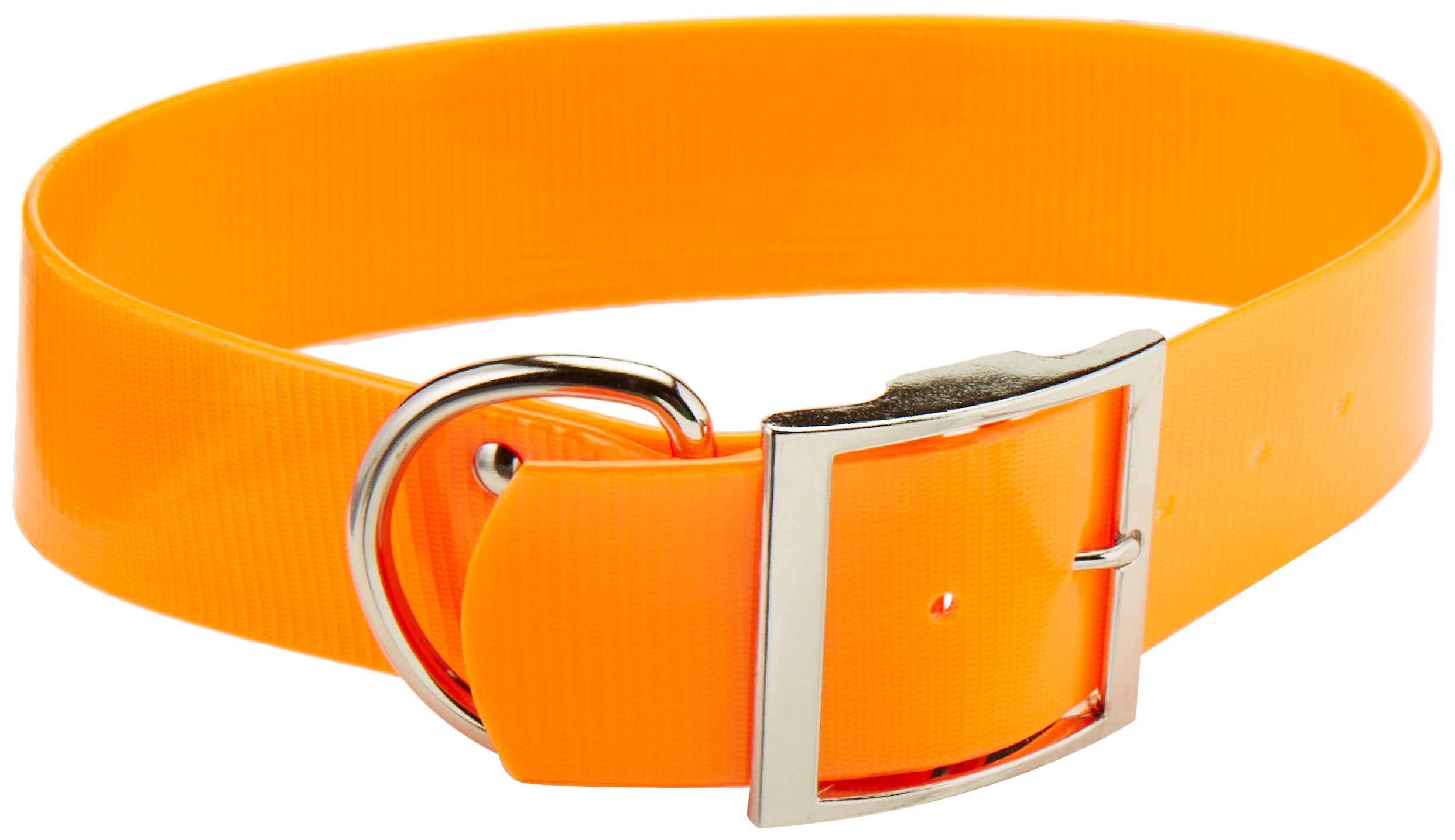 Omnipet Sunglo Regular Dog Collar, 2 X 27, Orange