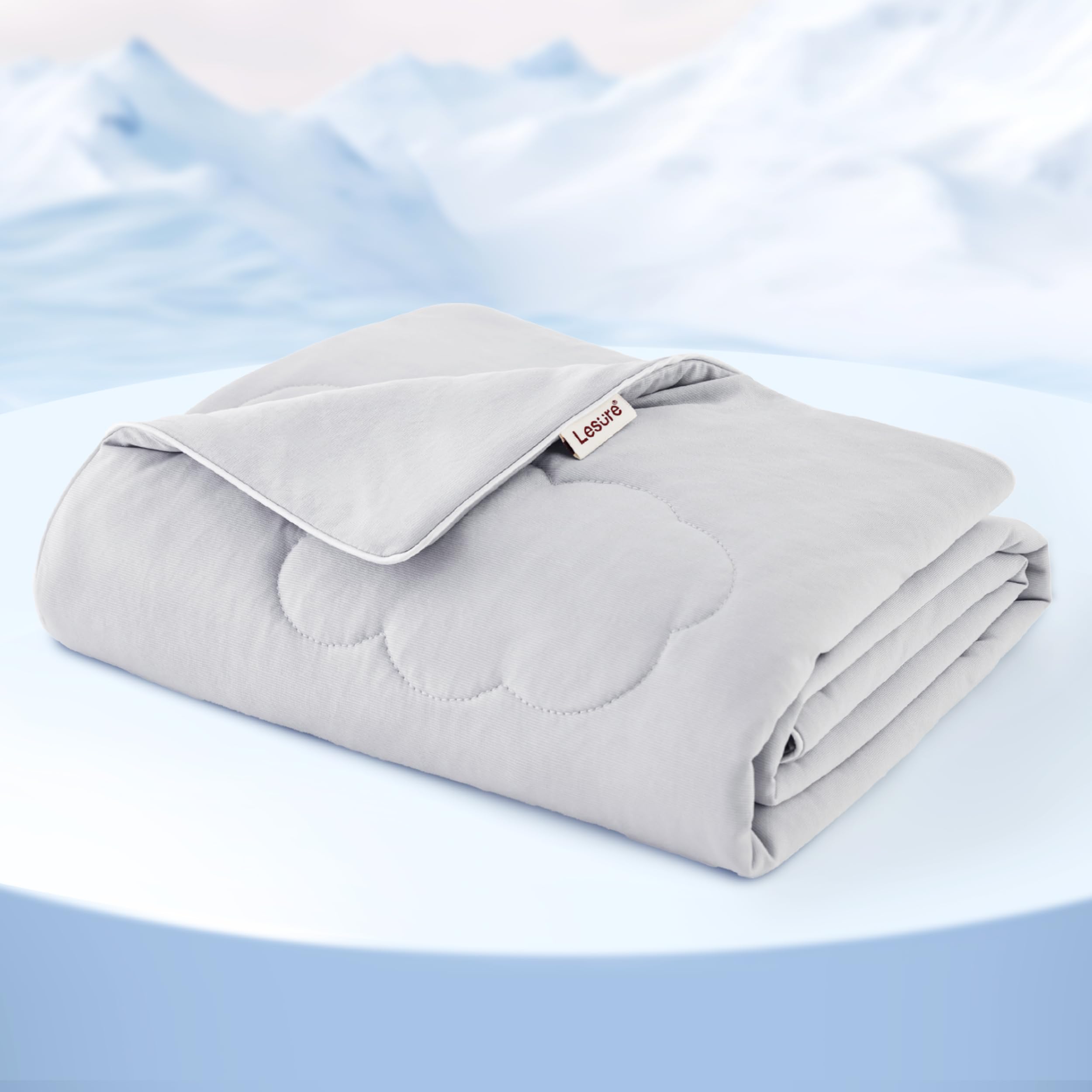 Lesure Premium Cooling Dog Blankets for Bed - Washable Summer Blanket with Q-MAX>0.4,Durable Self Cooling Pet Mat, Grey, 60x80