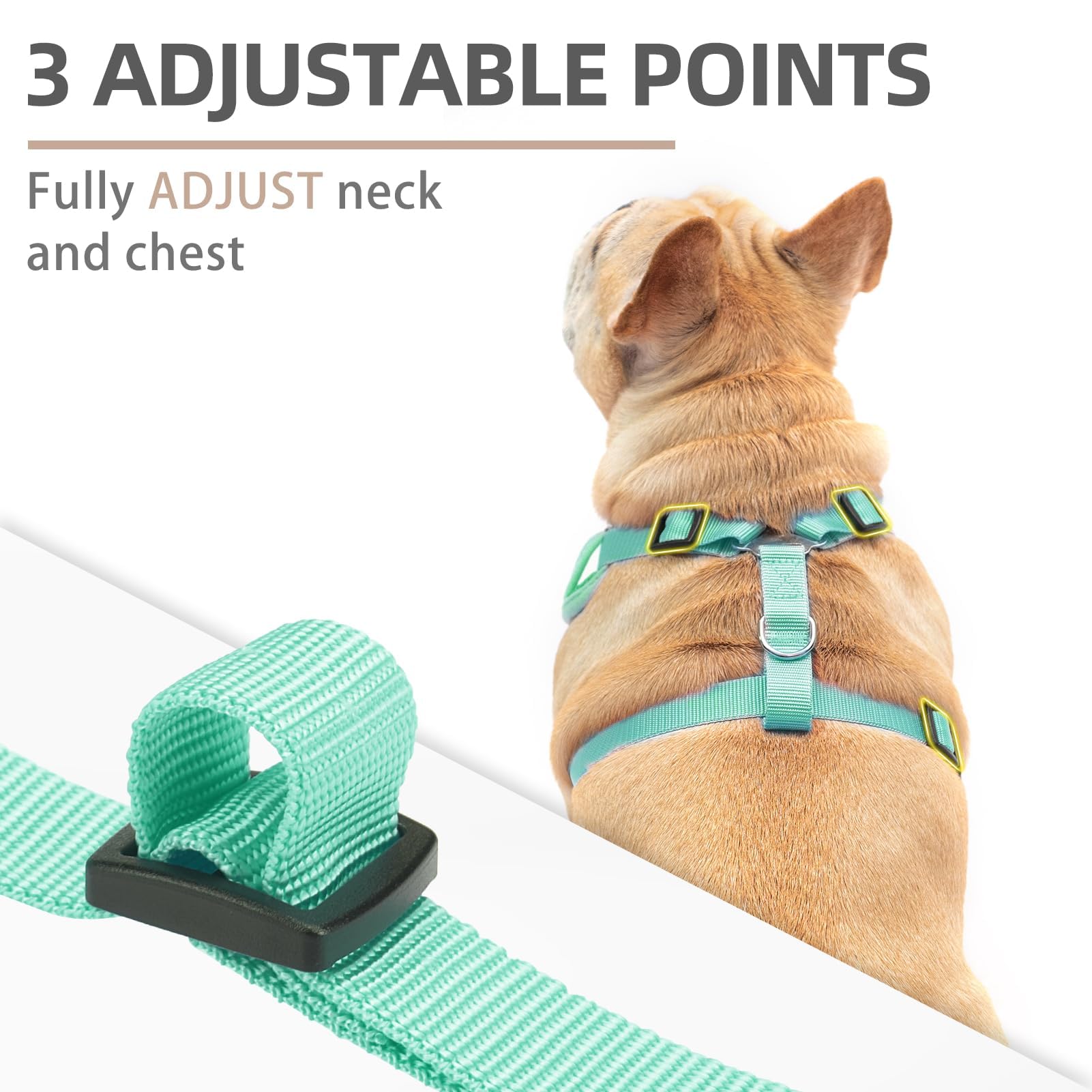 Pupteck Dog Harness And Leash Set For Small Medium Dogs No Pull, Soft Mesh Adjustable Puppy Cat Harness Reflective At Night, Gre