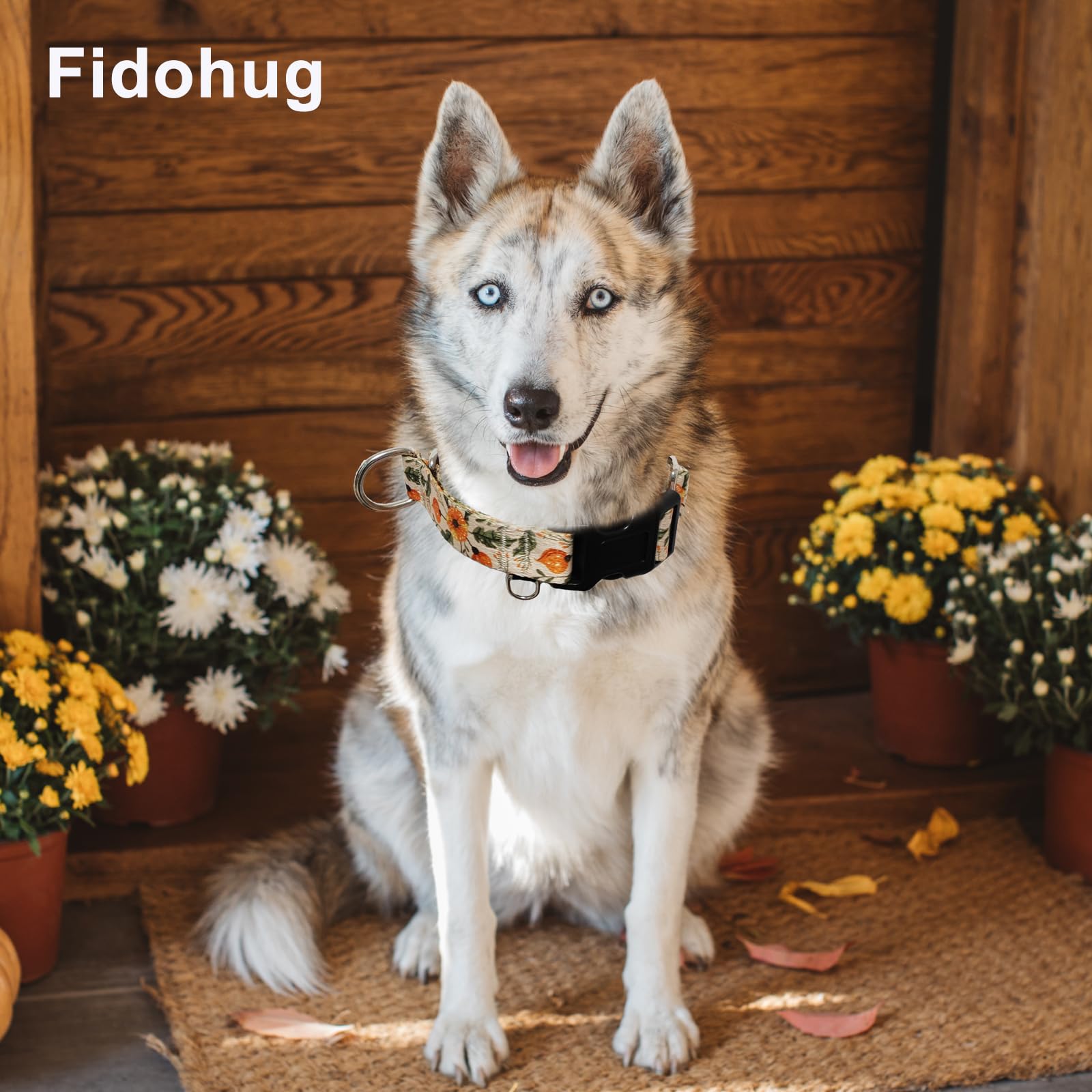 Fidohug Martingale Collar For Dogs With Buckle Adjustable Nylon Slip No Pull Training Dog Collars (Beige Floral, Small)