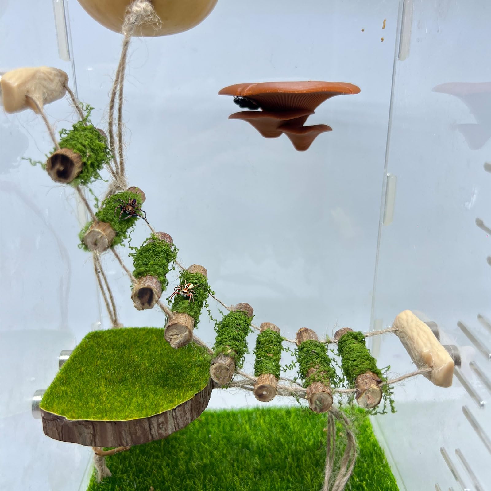 Jumping Spider Rope Bridge,A Solid Wood Climbing Suspension Bridge, A Jumping Spider Enclosure Accessory, Handmade, A Spider Jum