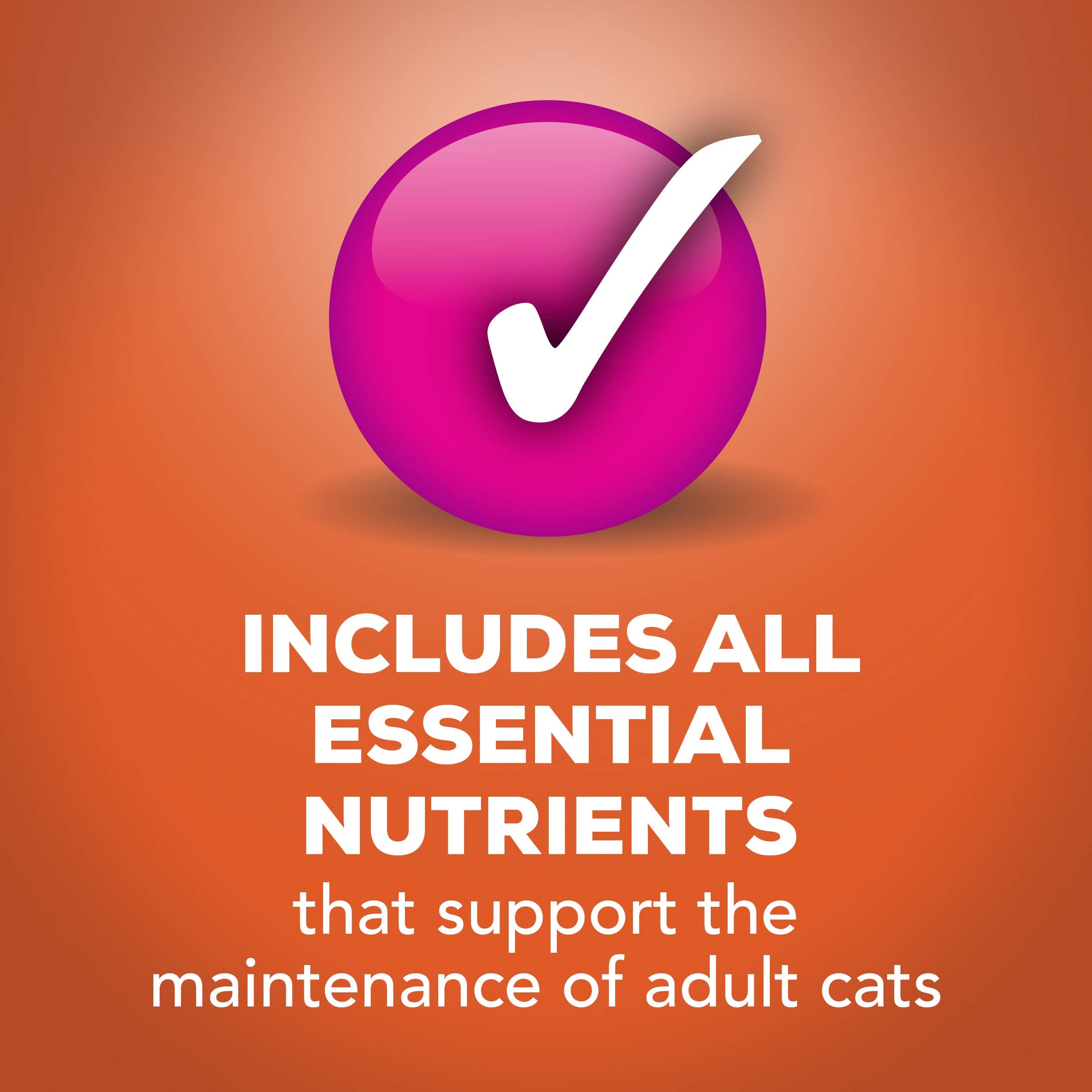 Purina Friskies Wet Cat Food Tasty Treasures With Chicken and Tuna in Gravy (Scallop Flavor) - (Pack of 24) 5.5 oz. Cans