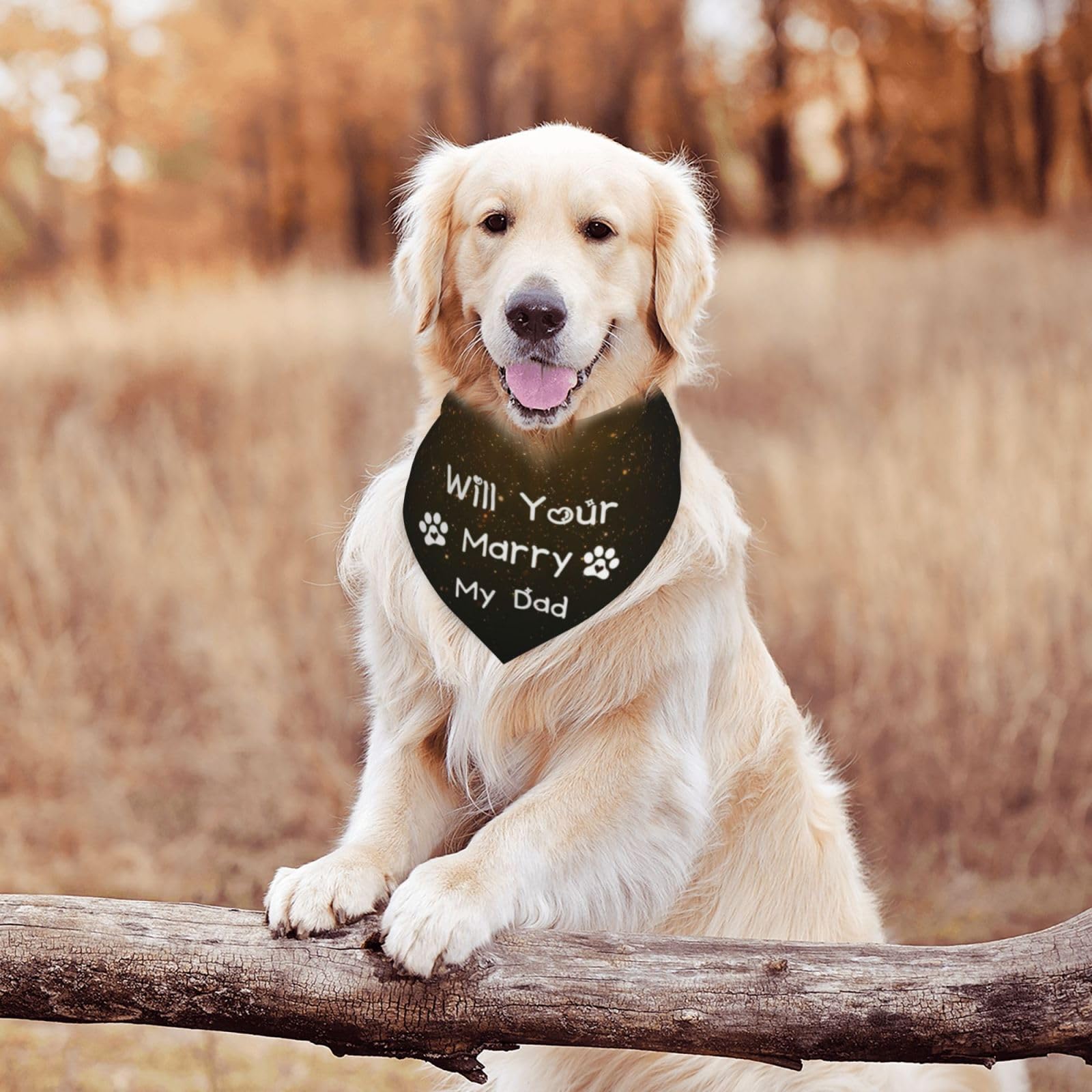 Will Your Marry My Dad Dog Bandana Scarf Triangle Bibs Pet Accessories Cat Kerchief White60 One Size