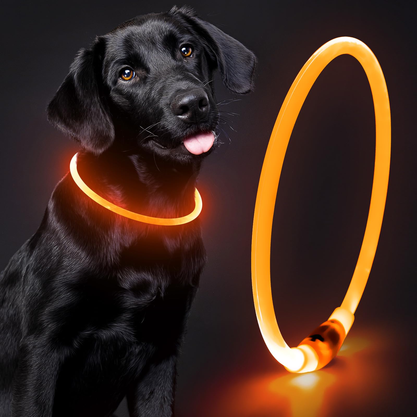 Domagiker Lighted Dog Collar - Waterproof Puppy Collar Light Rechargeable, High Visibility Glowing Dog Lights For Night Walking 