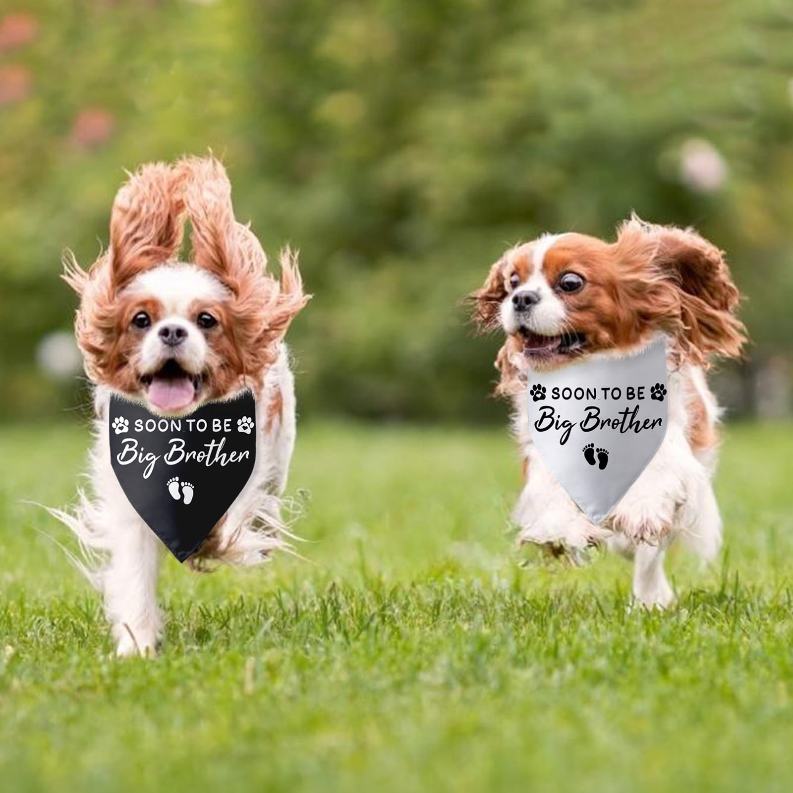 2 Packs Soon To Be Big Brother Triangle Scarf - Gender Reveal Dog Bandana Accessories For Large, Medium & Small Dogs