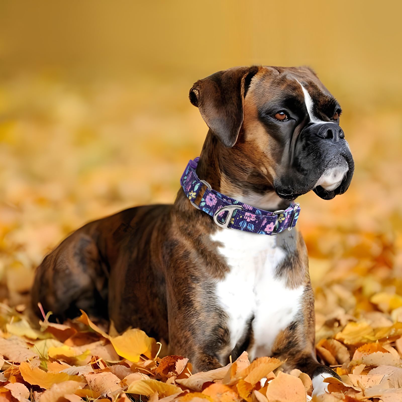Onefojojo Martingale Collar For Female Dogs, Reflective Adjustable Soft Nylon Dog Collars With Cute Floral Patterns For Small Me