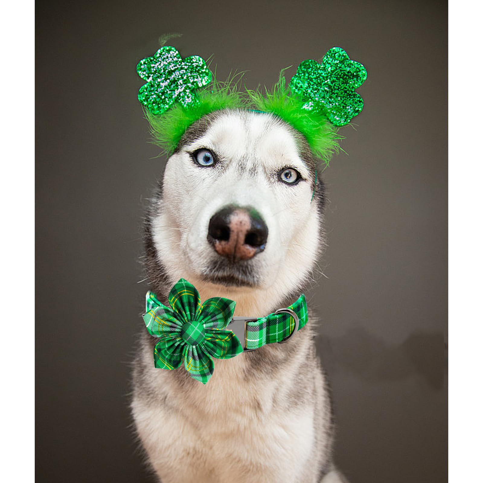 Lionheart Glory St. Patrick'S Day Collar - Green Plaid Spring Collar With Flower Bows For Small Dogs