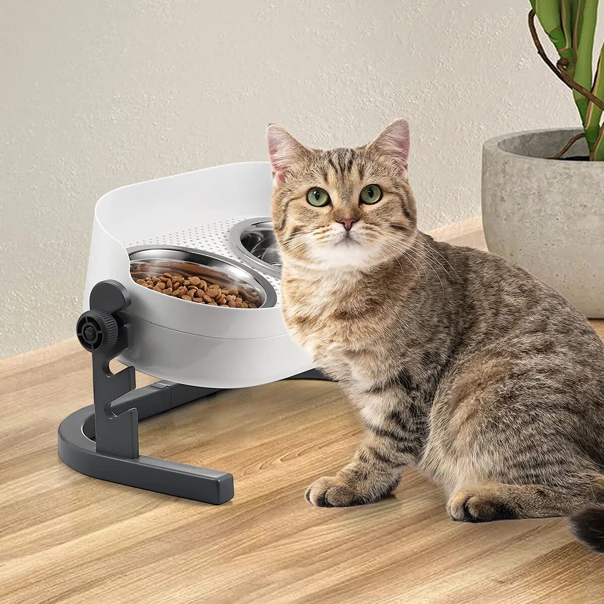 All for Paws Height Adjustable Cat Elevated Bowls Stainless Steel Dog Food Water Bowls, Height Adjustable Cat Feeder Mess Proof 