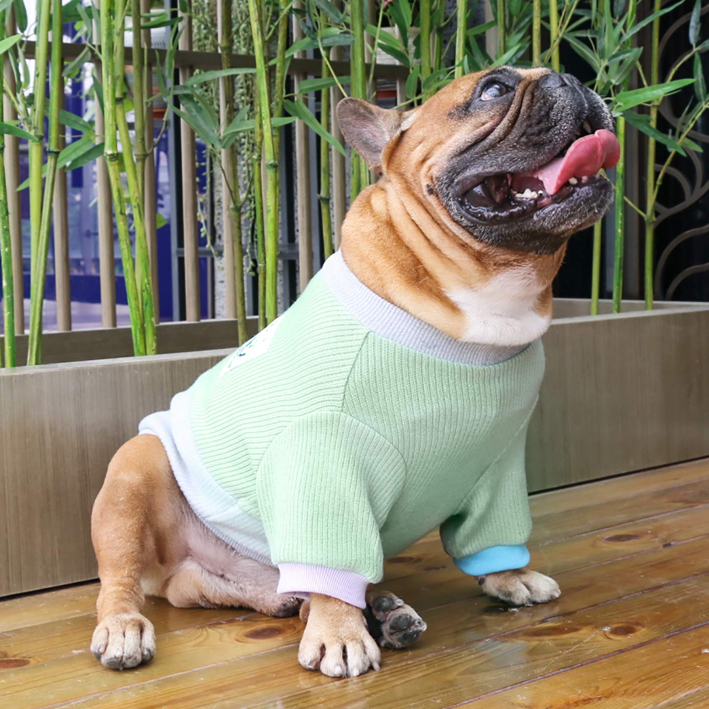 Ichoue Pet Dog Crewneck Sweater Color Block Pullover Winter Warm Clothes For French Bulldog Frenchie Shiba Inu - Green And Grey/