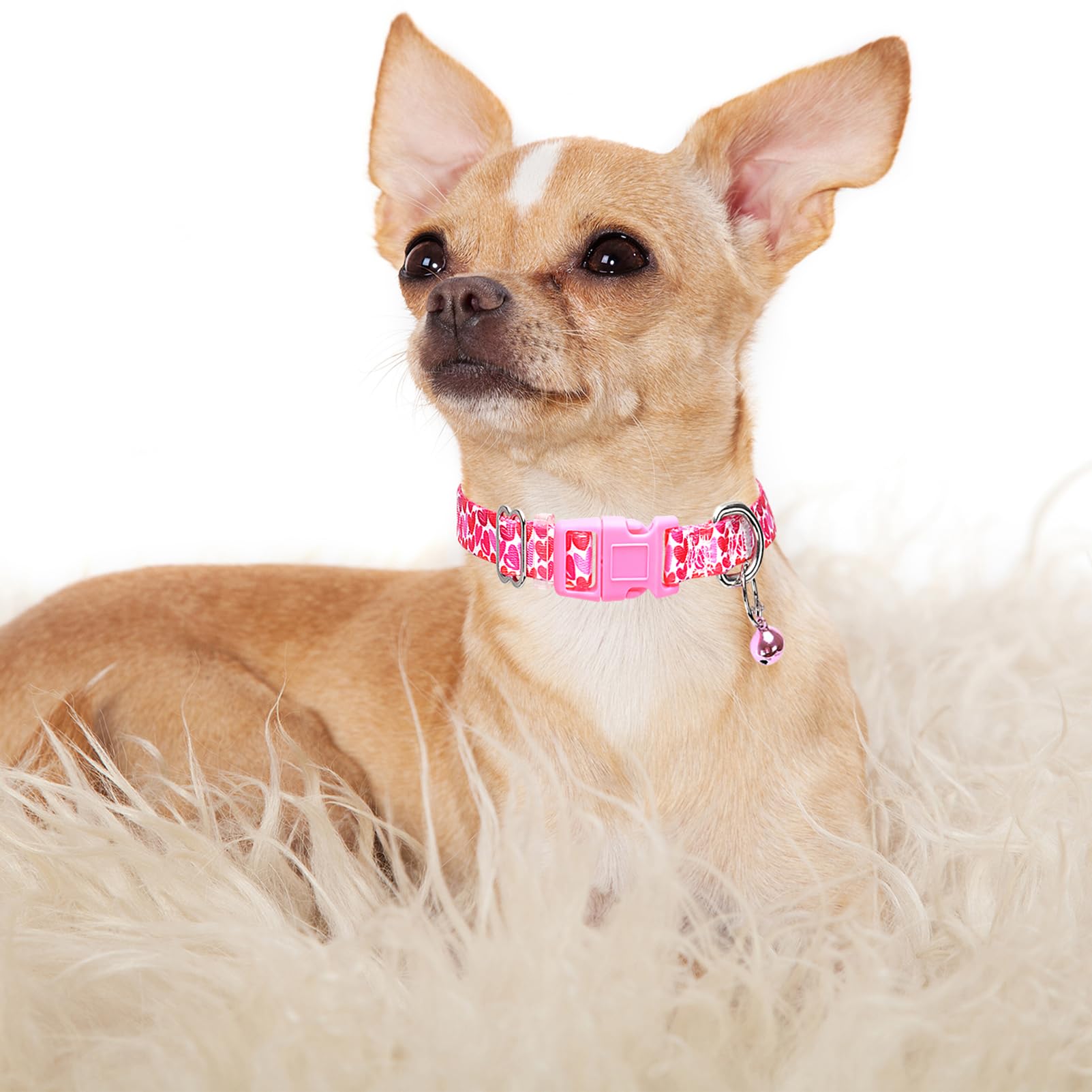 Xxs Dog Collar,Puppy Collars With Bells Pretty Flower Dog Collar For Xs Small Tiny Pet Female Dogs Kitten Xs