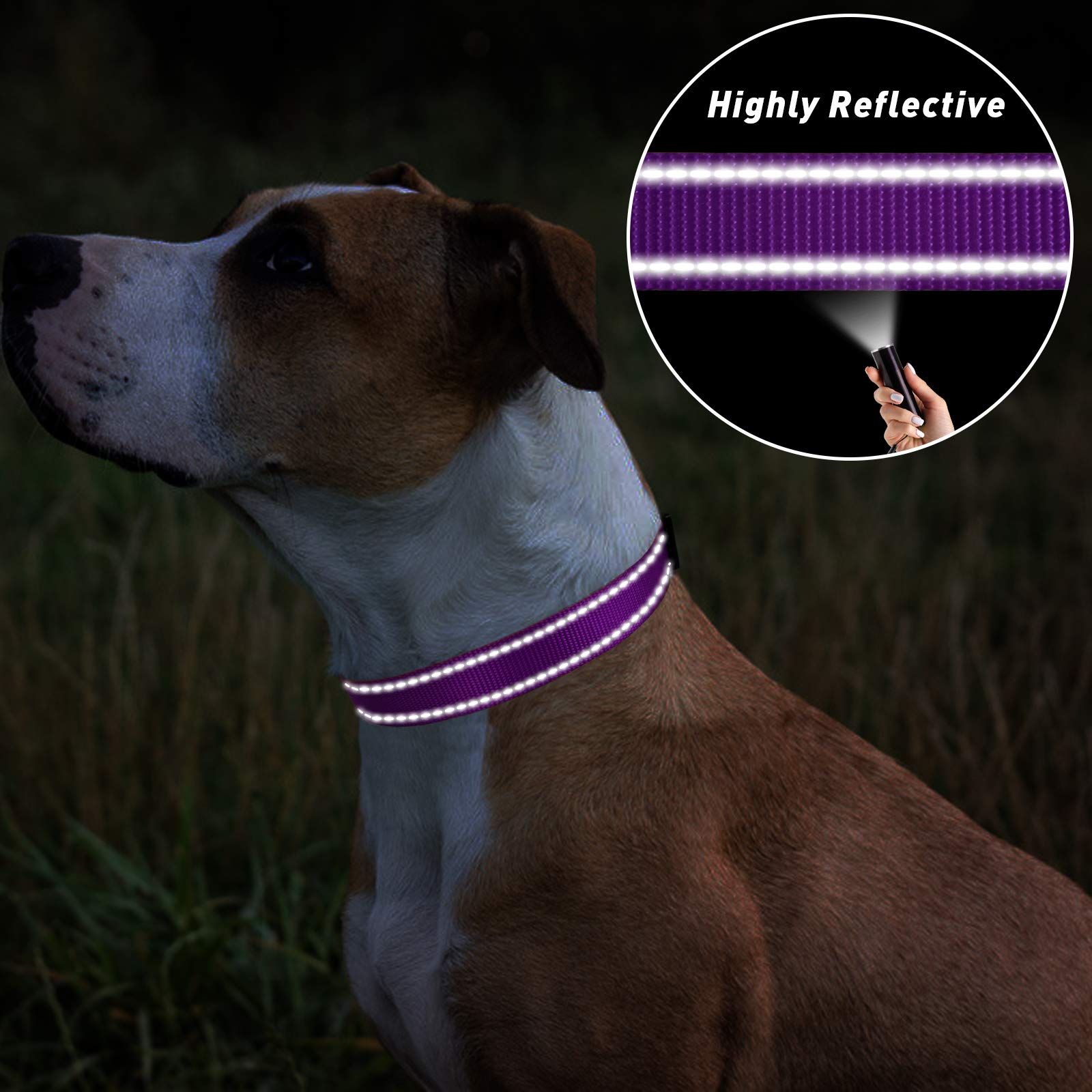 Tagme Reflective Nylon Dog Collars, Adjustable Classic Dog Collar With Quick Release Buckle For Extra Large Dogs, Purple, 1¼' Width