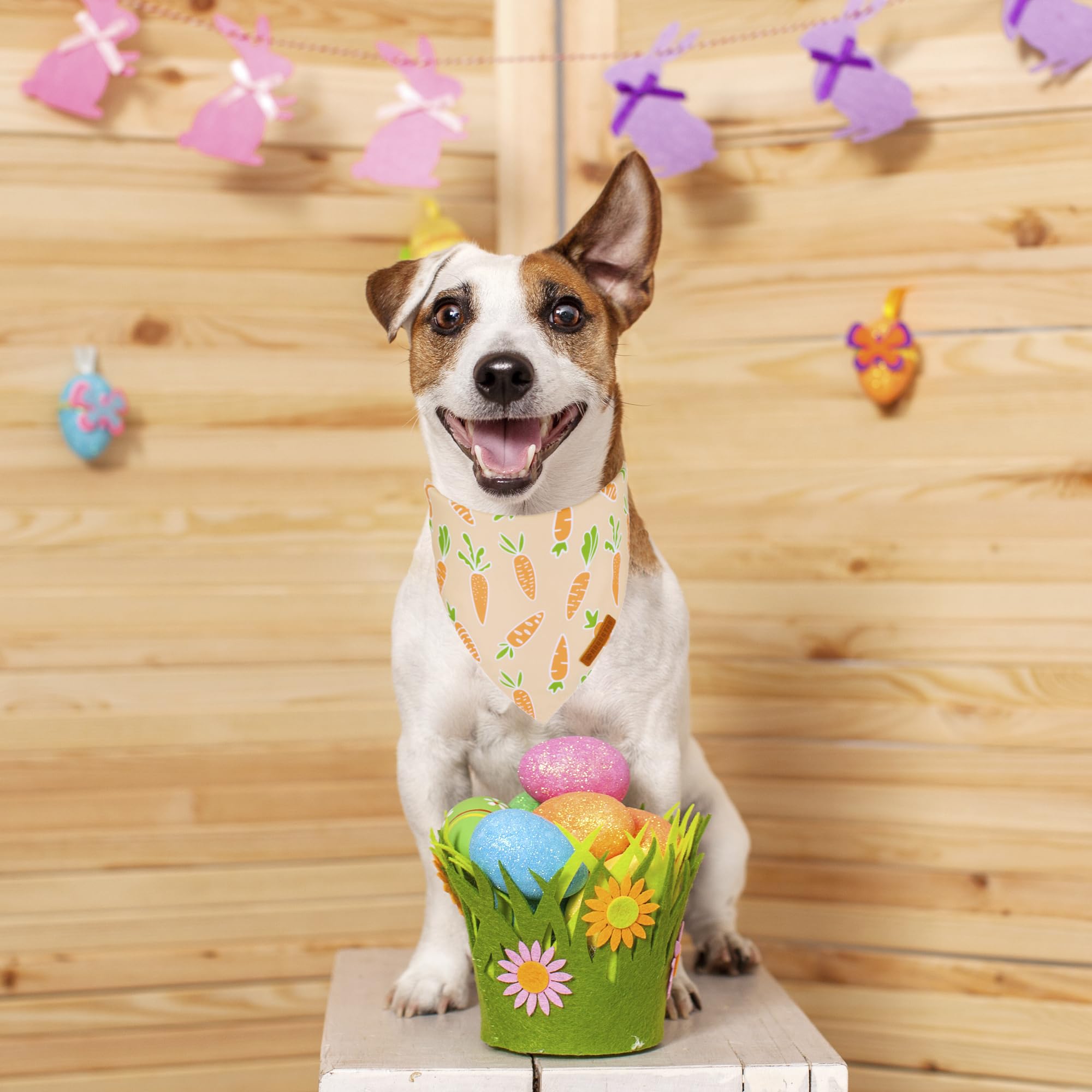 ADOGGYGO Easter Dog Bandanas, Rabbit Carrot Pet Scarf, Multi Size Offered, Orange Blue Easter Bandana for Medium Large Dogs Pets