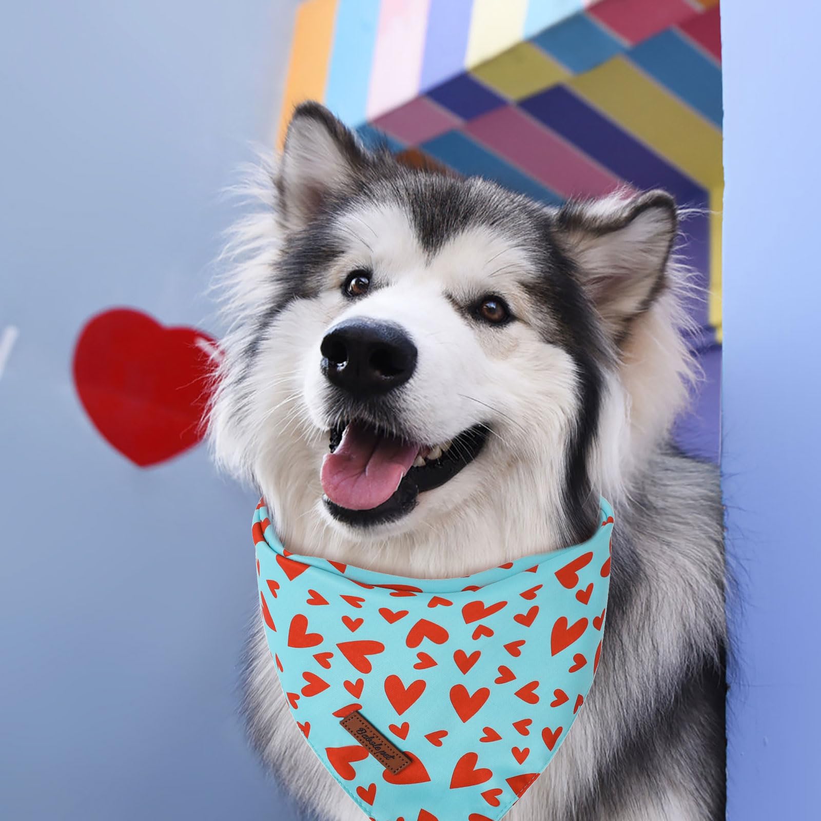 Babole Pet Valentines Dog Bandanas 2 Pack, Pink And Sky Blue Heart Pattern Valentine Dog Scarf Bib For Boy And Girl, Cute Holida