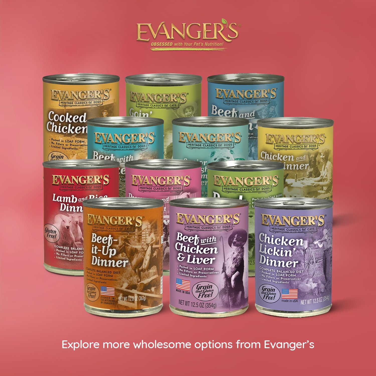 Evangers Heritage Classic Lamb & Rice Dinner - 12 Count, 20.2 oz Each - Wet Dog Food with Lamb and Rice - Gluten-Free Loaf Styl