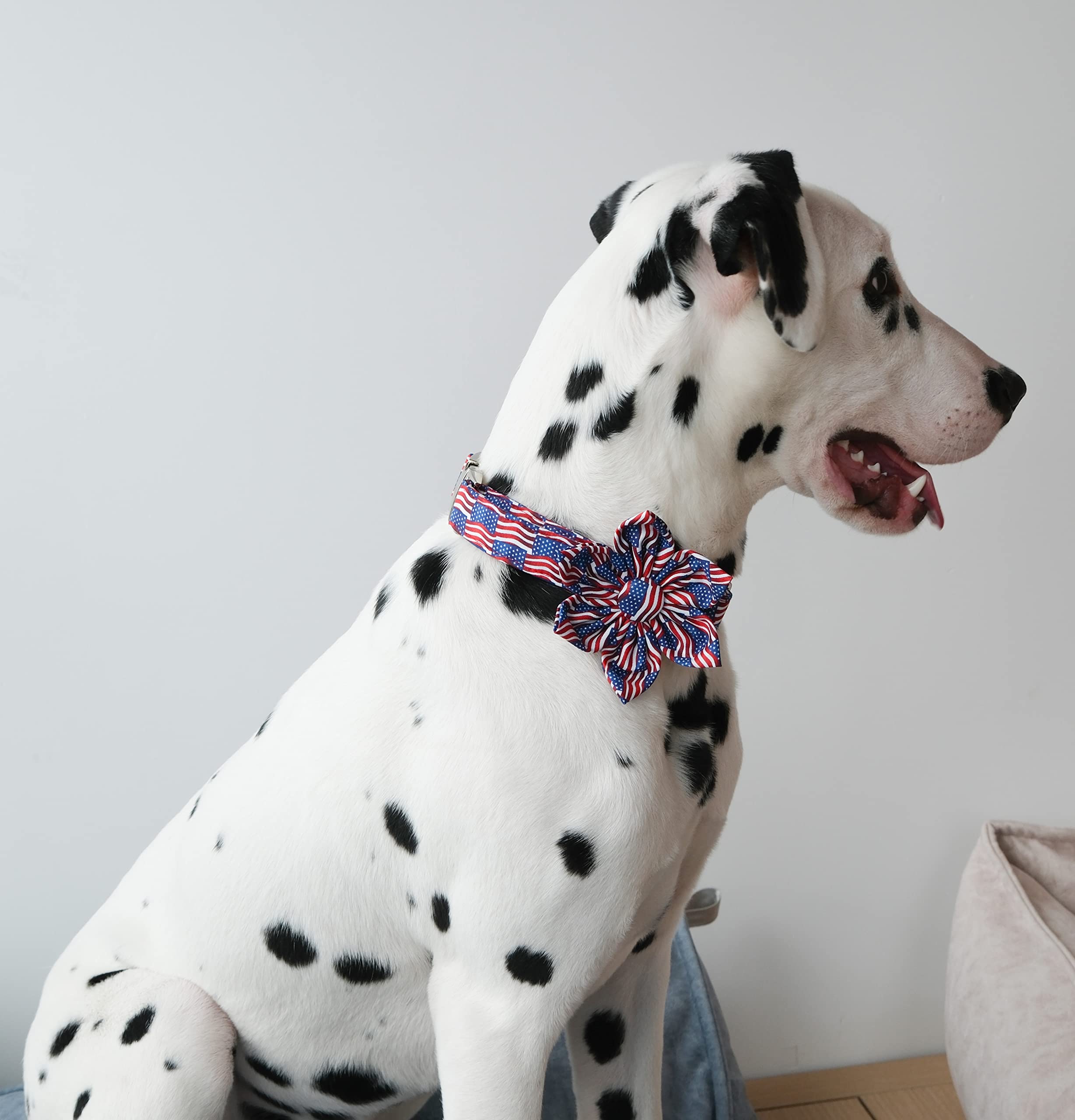 Unique Style Paws Independence Day Flag Dog Collar, Best For Small Medium Large Boys Girls Dogs