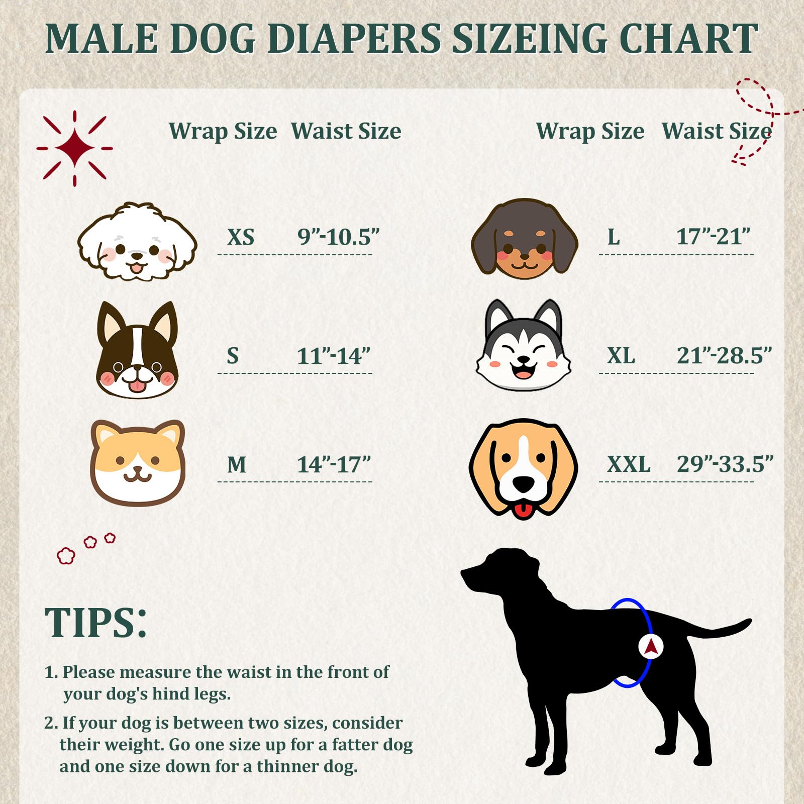 Reusable Dog Diapers Male, Premium Washable Belly Bands For Male Dogs Extra Small, Pack Of 5, High Absorbing Male Dog Wraps For